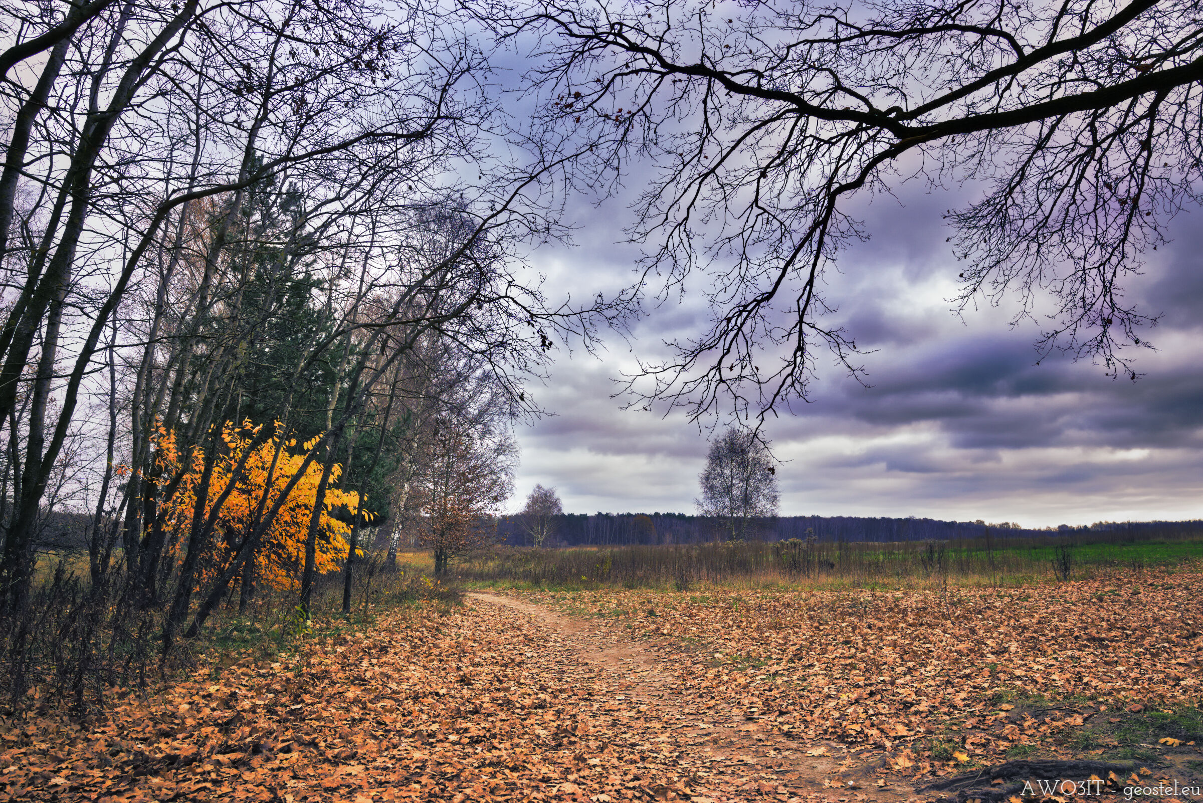 L'Autunno dello scontento...