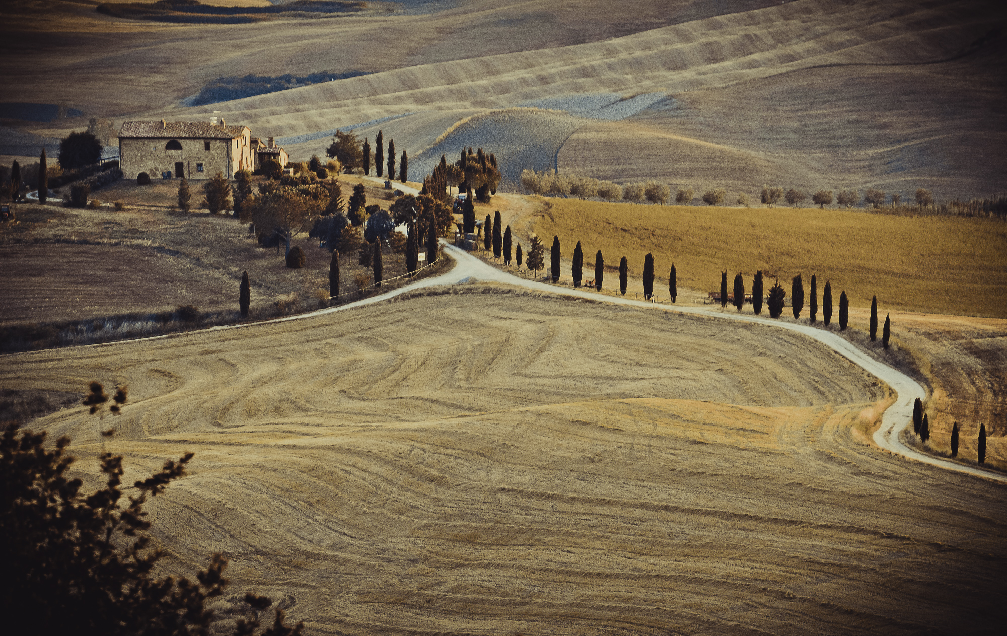 colline senesi