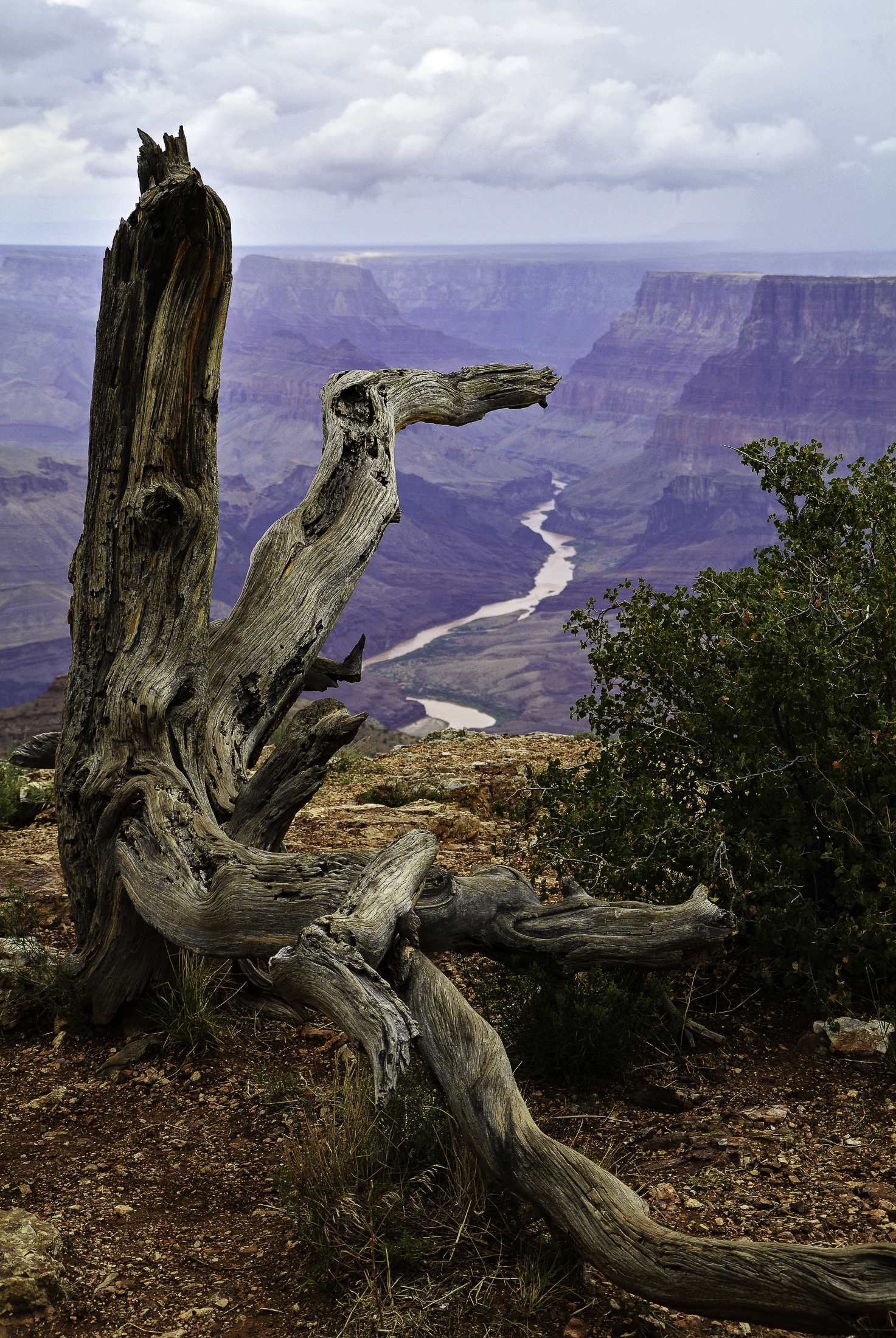 indicare la via del fiume