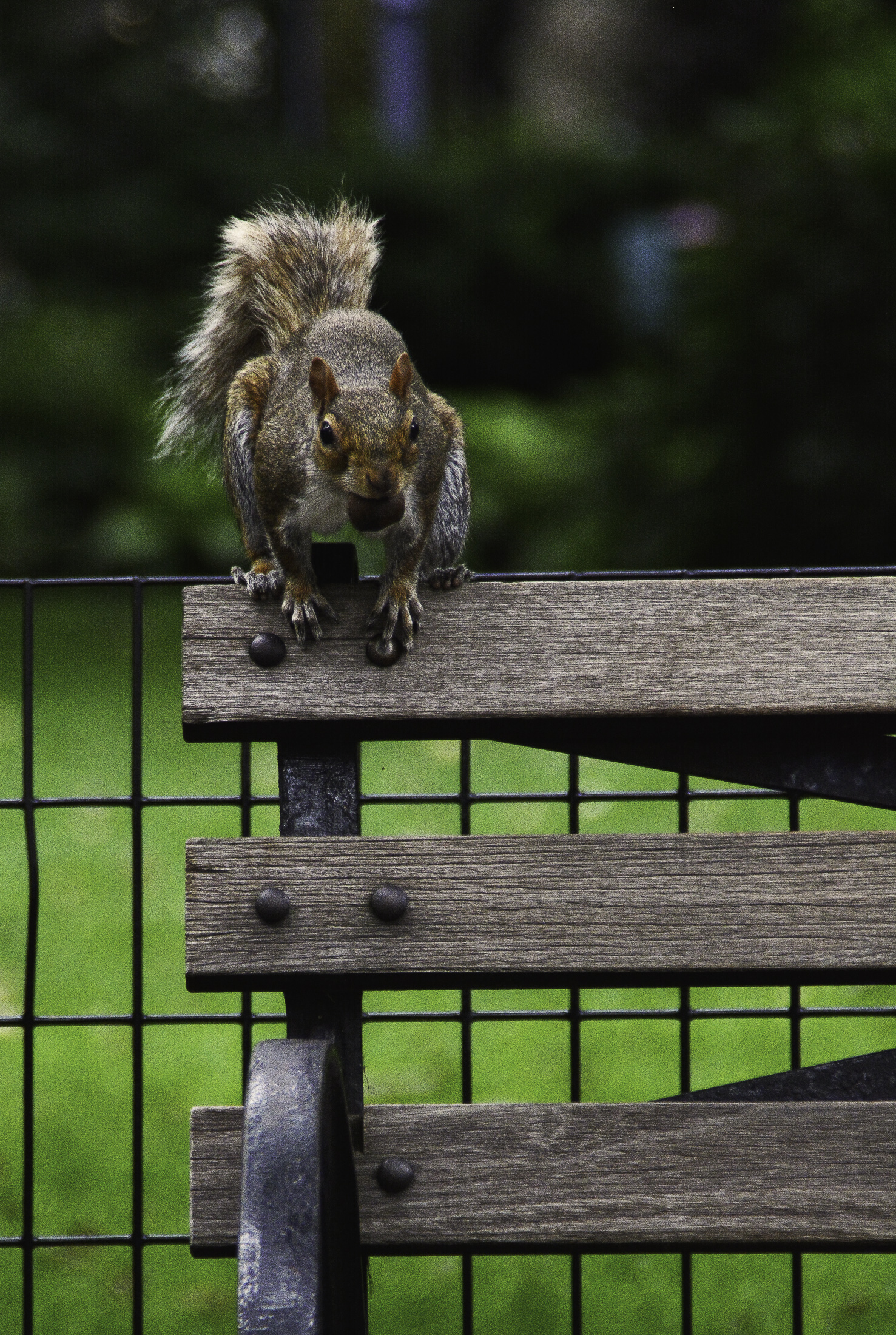 poco prima del salto