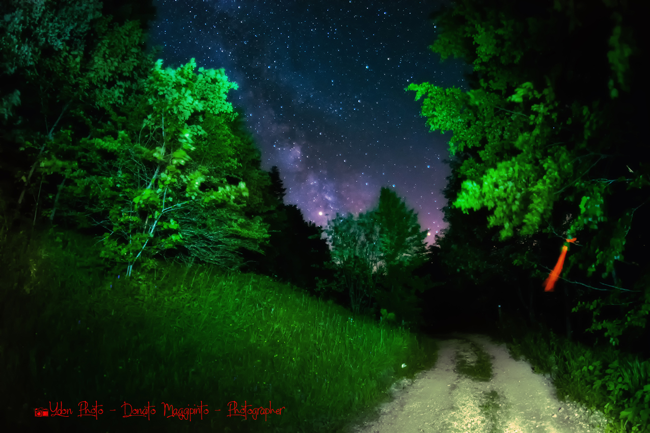 looking at the stars