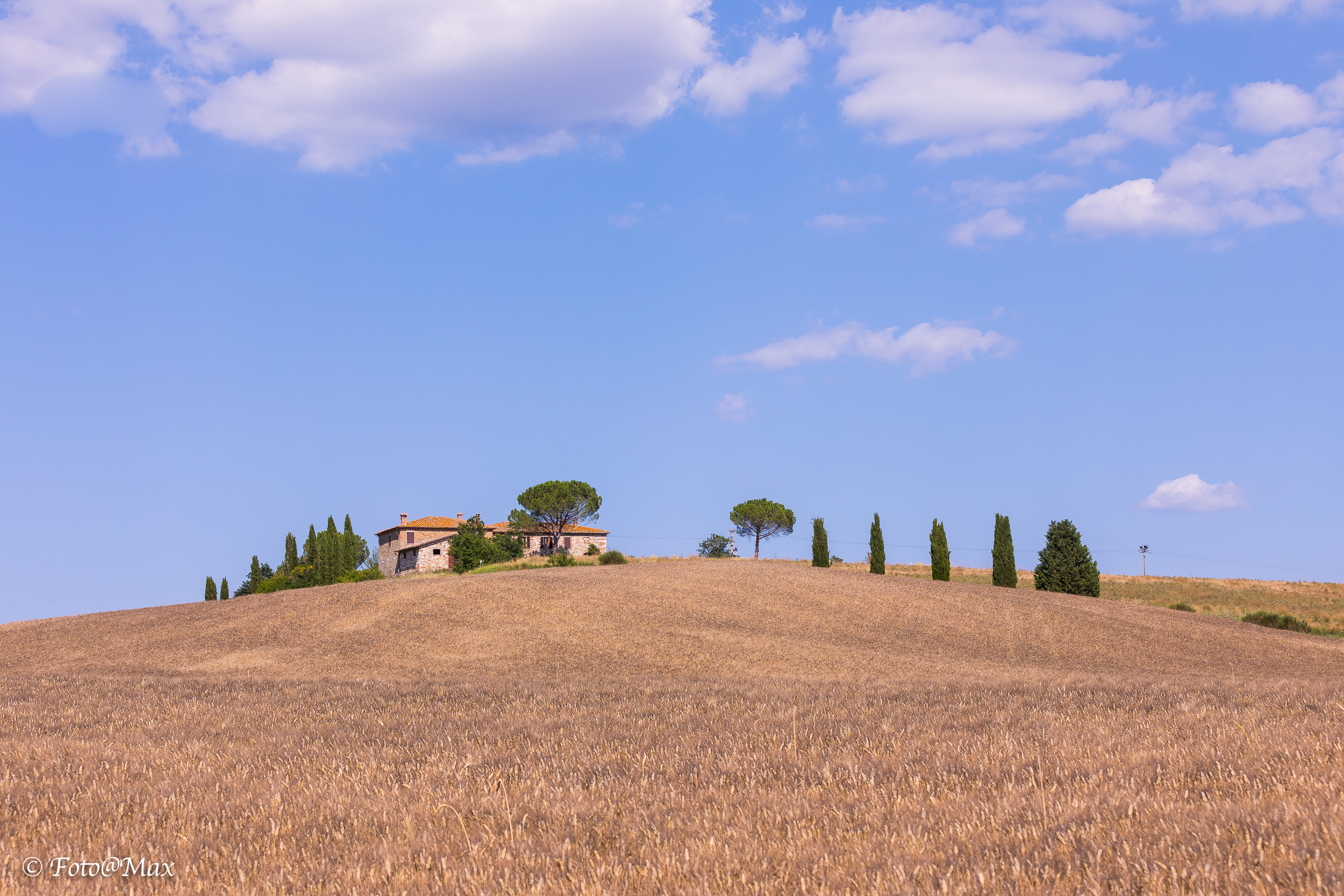 wheat in Val d'Orcia