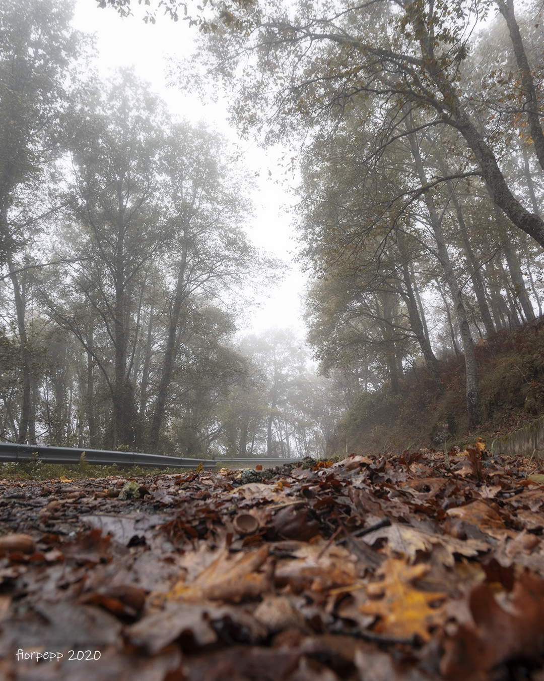 Nebbia d'autunno