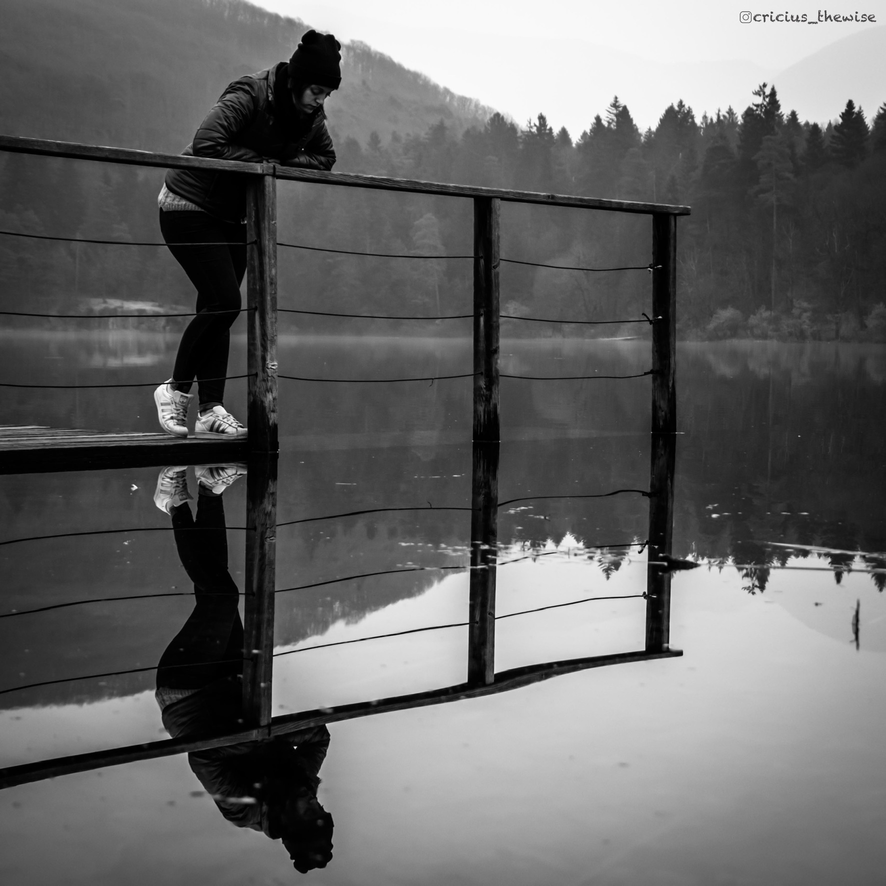 Through the Looking-Lake