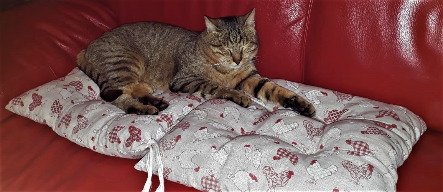 il riposo del guerriero...