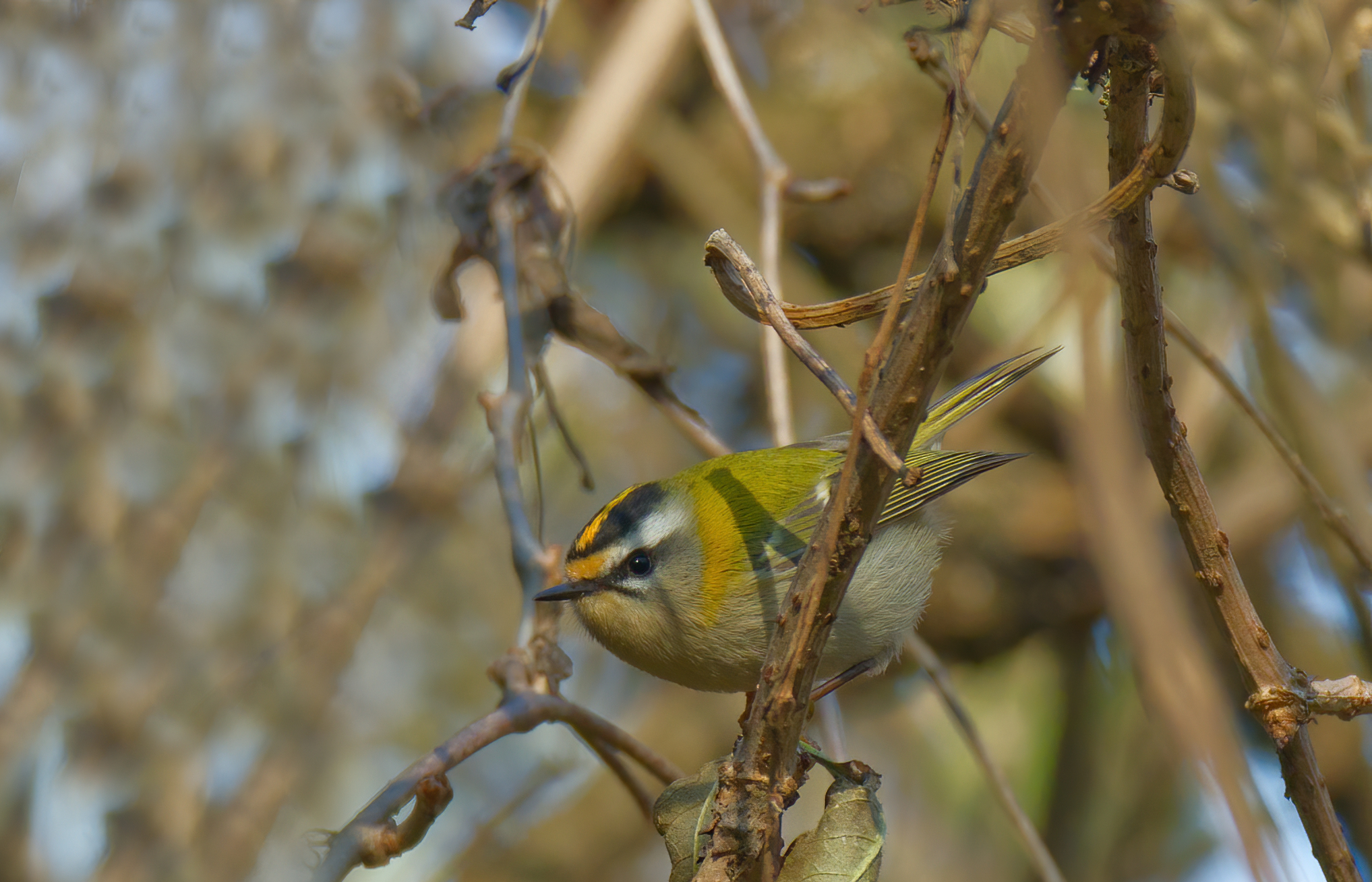 E stai fermo un attimo