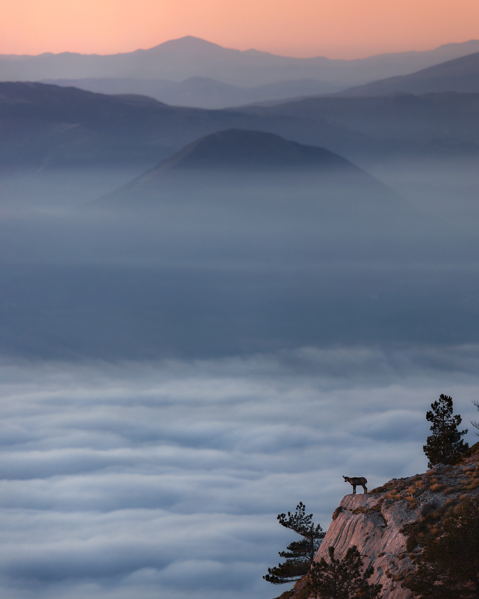 Il viandante sul mare di nebbia