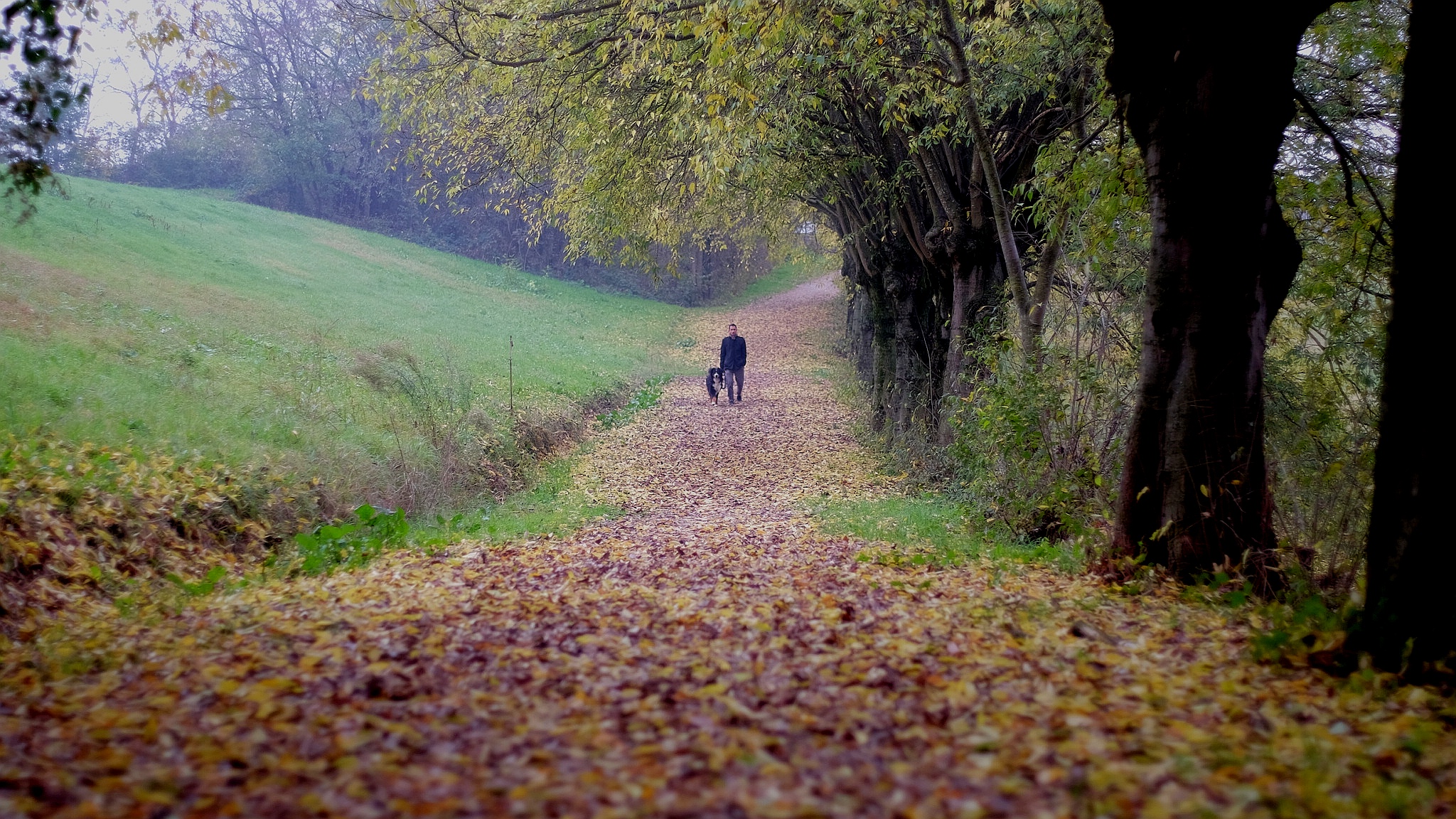 The dog and his master