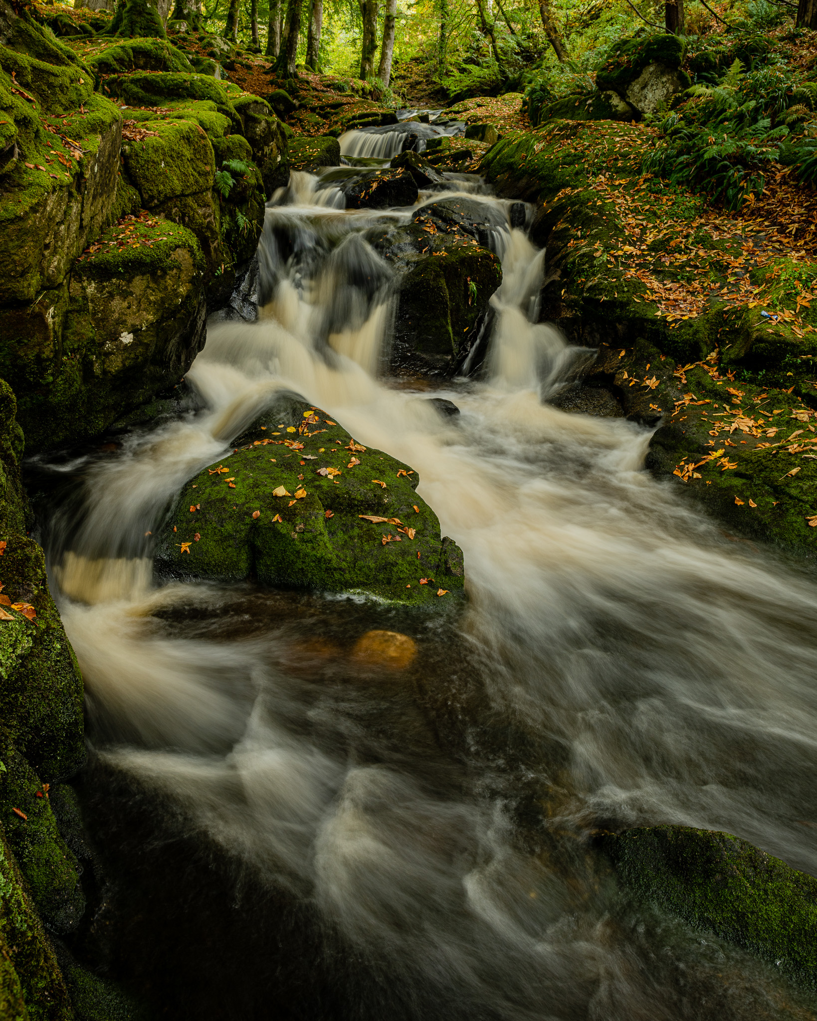 Fiume Cloghleah, parco nazionale di Wicklow