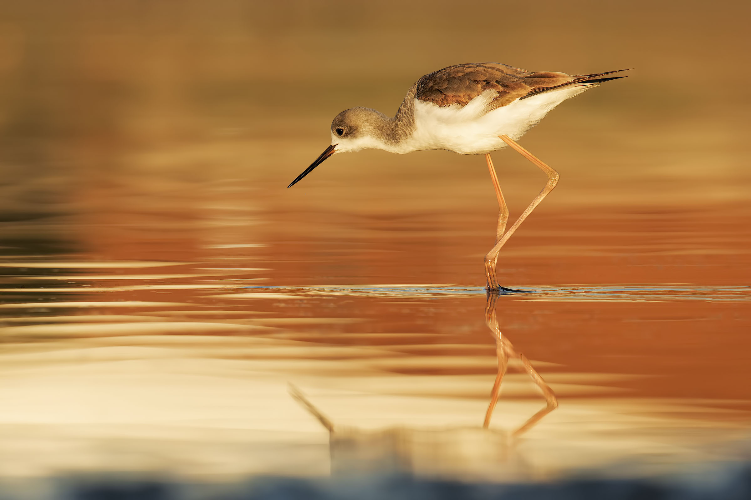 Red in the evening......