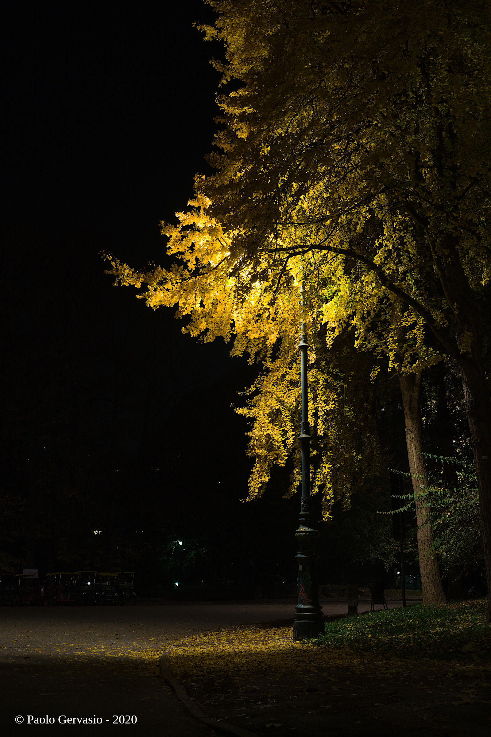 Lampione in veste autunnale