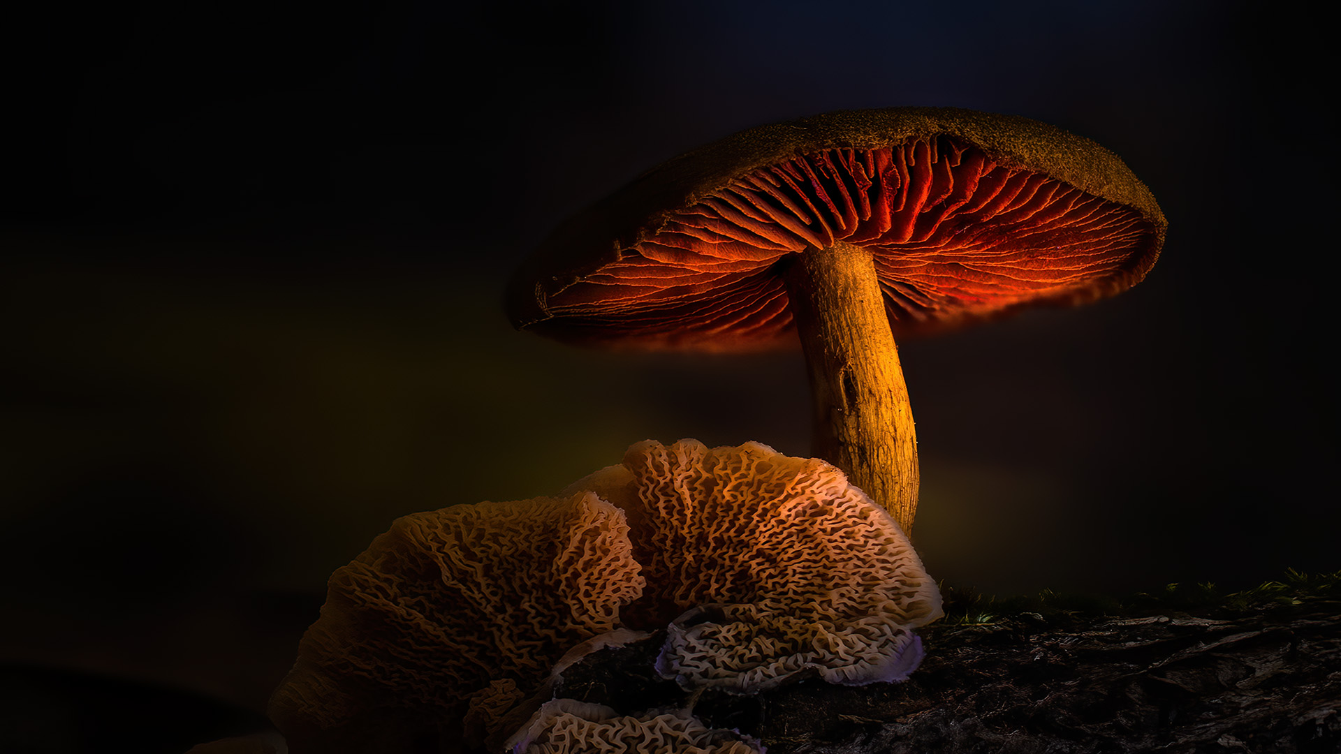 Similar sponsored items