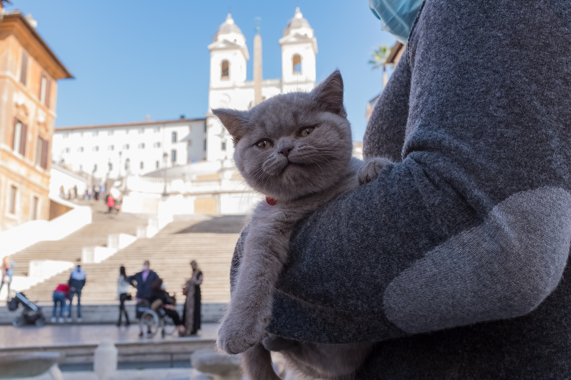 Un intruso a Piazza di Spagna