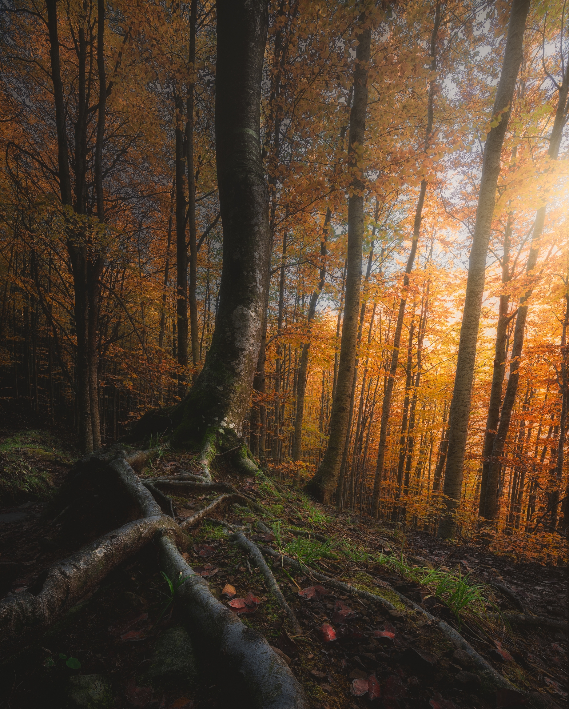 At the foot of autumn