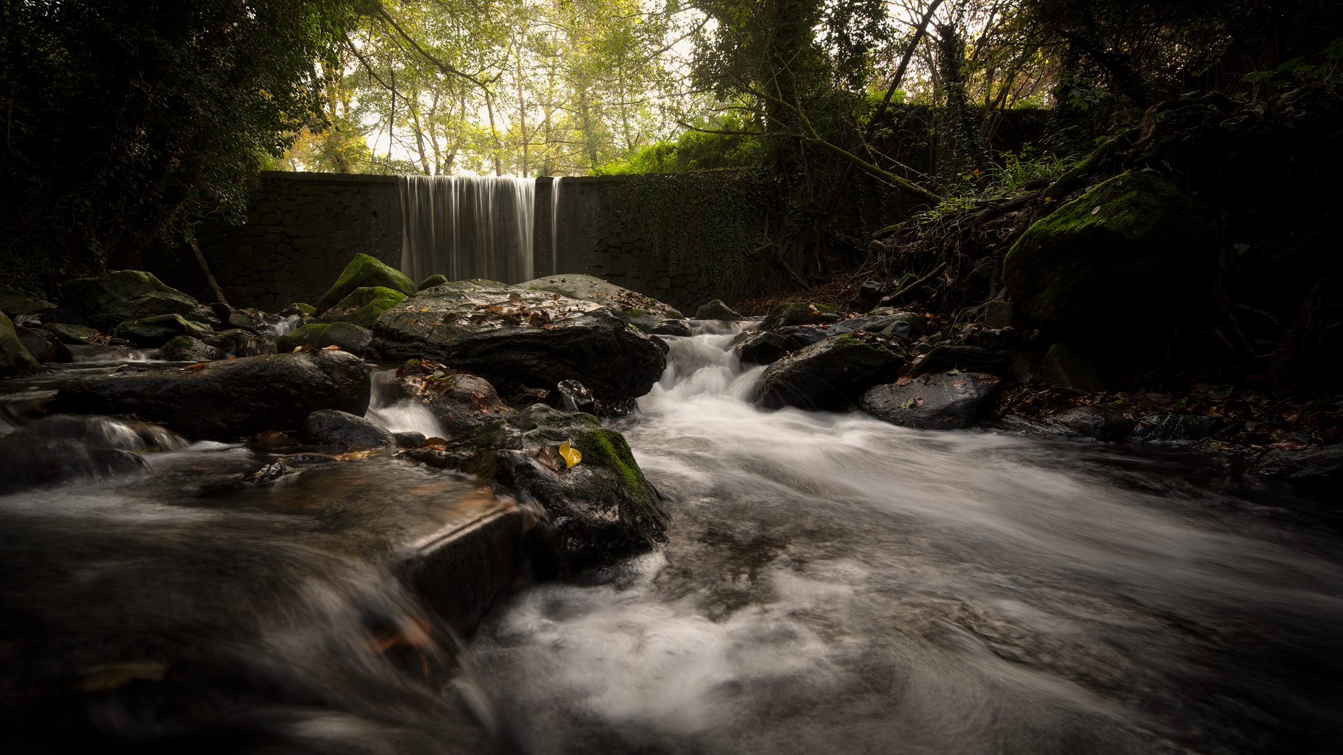 Nearby Creek, New Creek