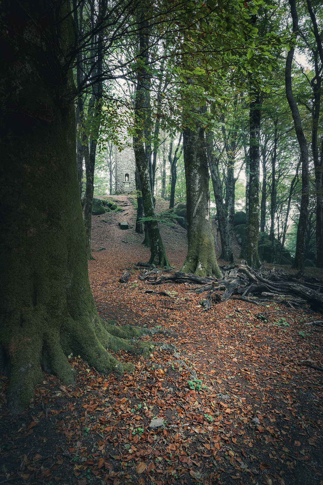 La torre che segna la cima del Monte Cimino