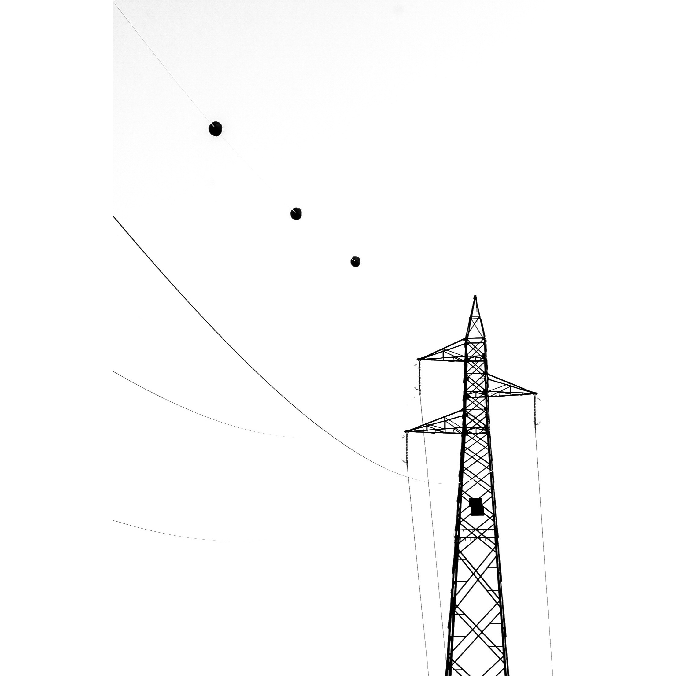 Untitled Photo