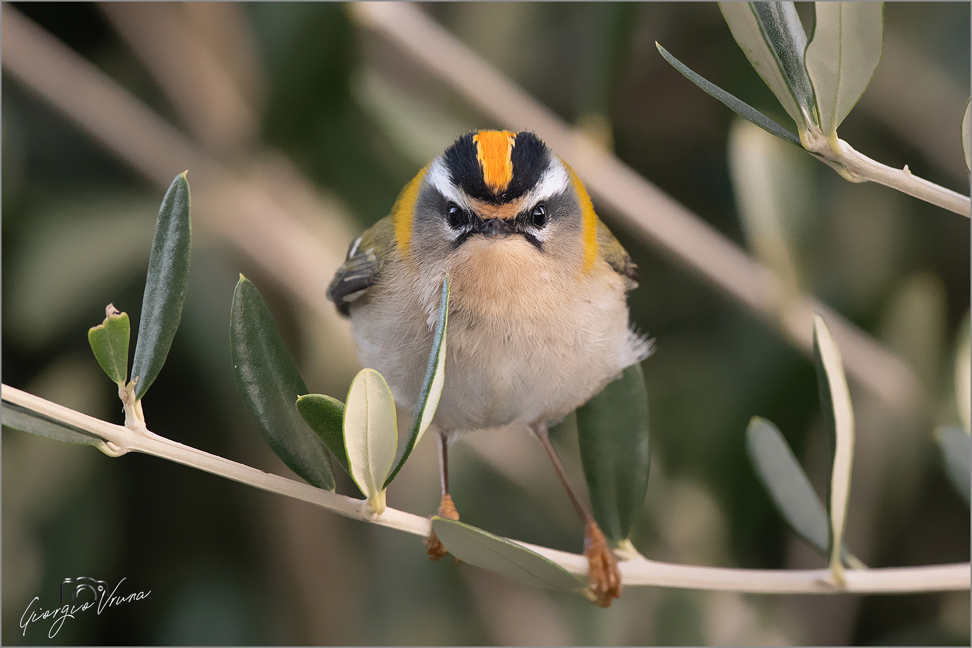 Quando te lo dico io, quando te lo dico io...