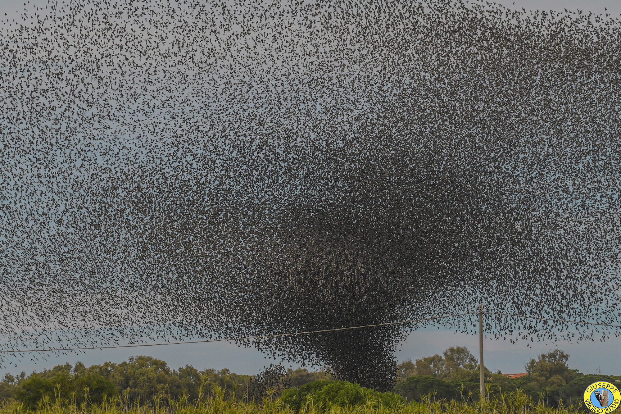Stormi evoluzioni (Sardegna) 2020