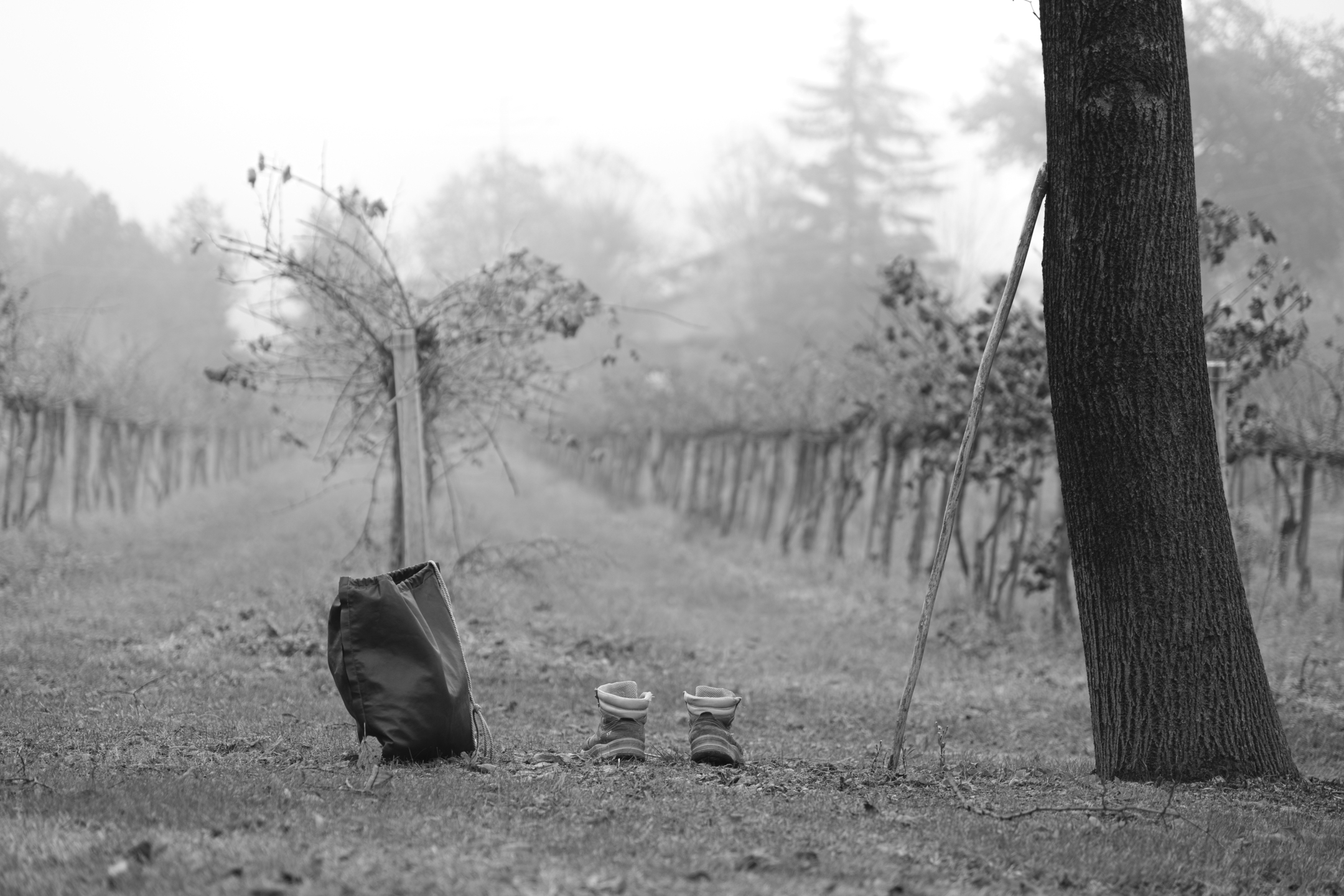 Lo stanco pellegrino