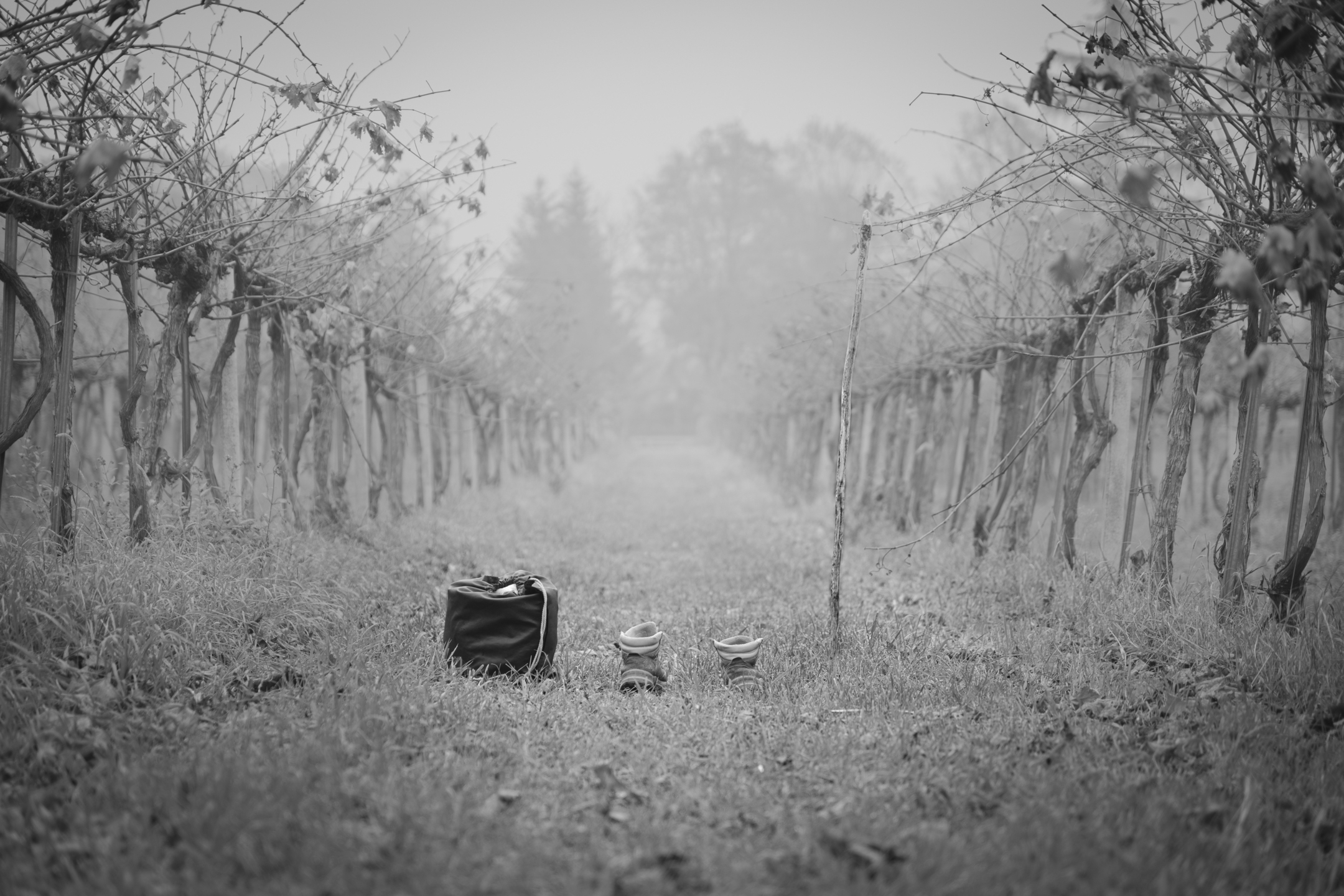 Lo stanco pellegrino II