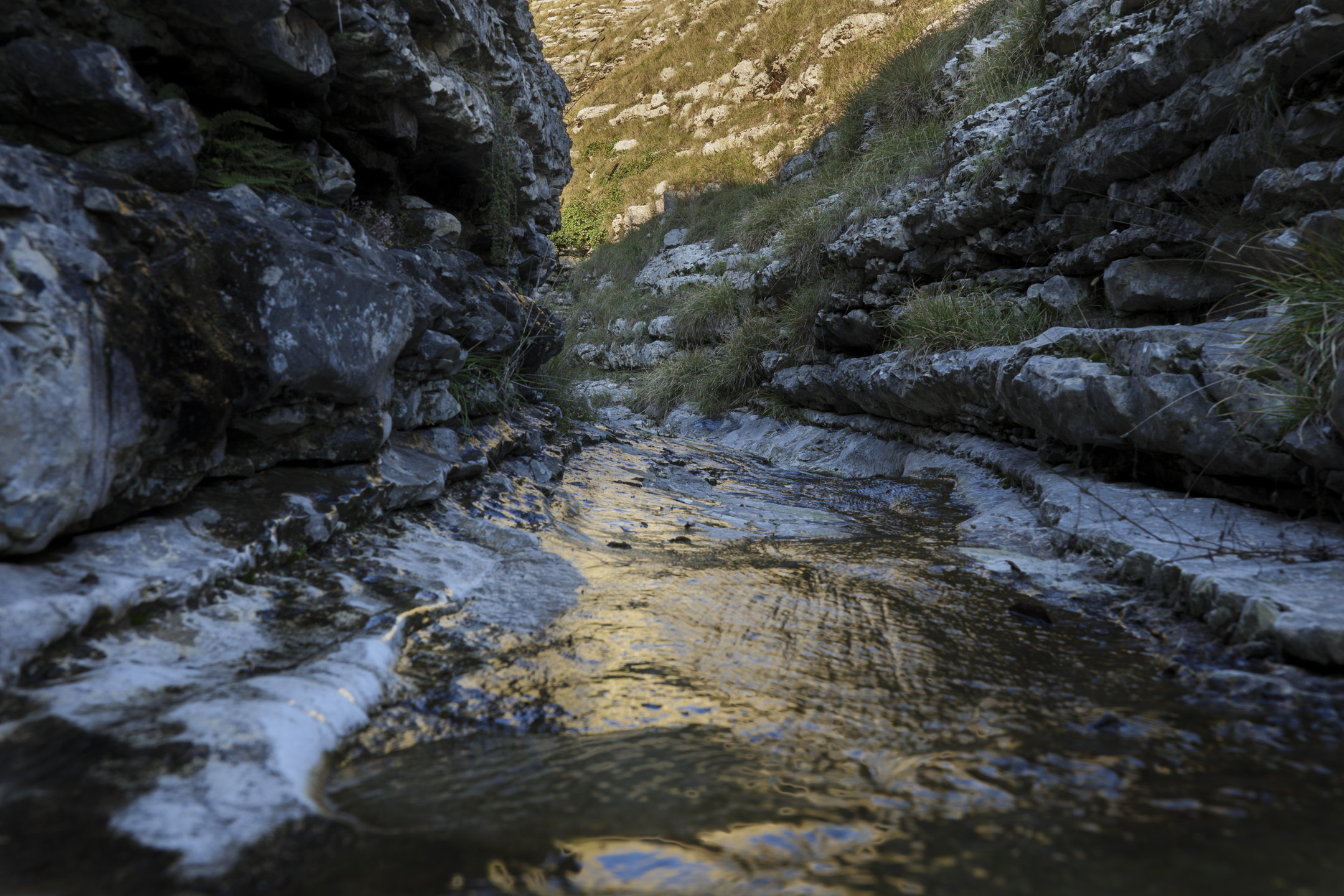 Monte Nerone - Camp d'aia II