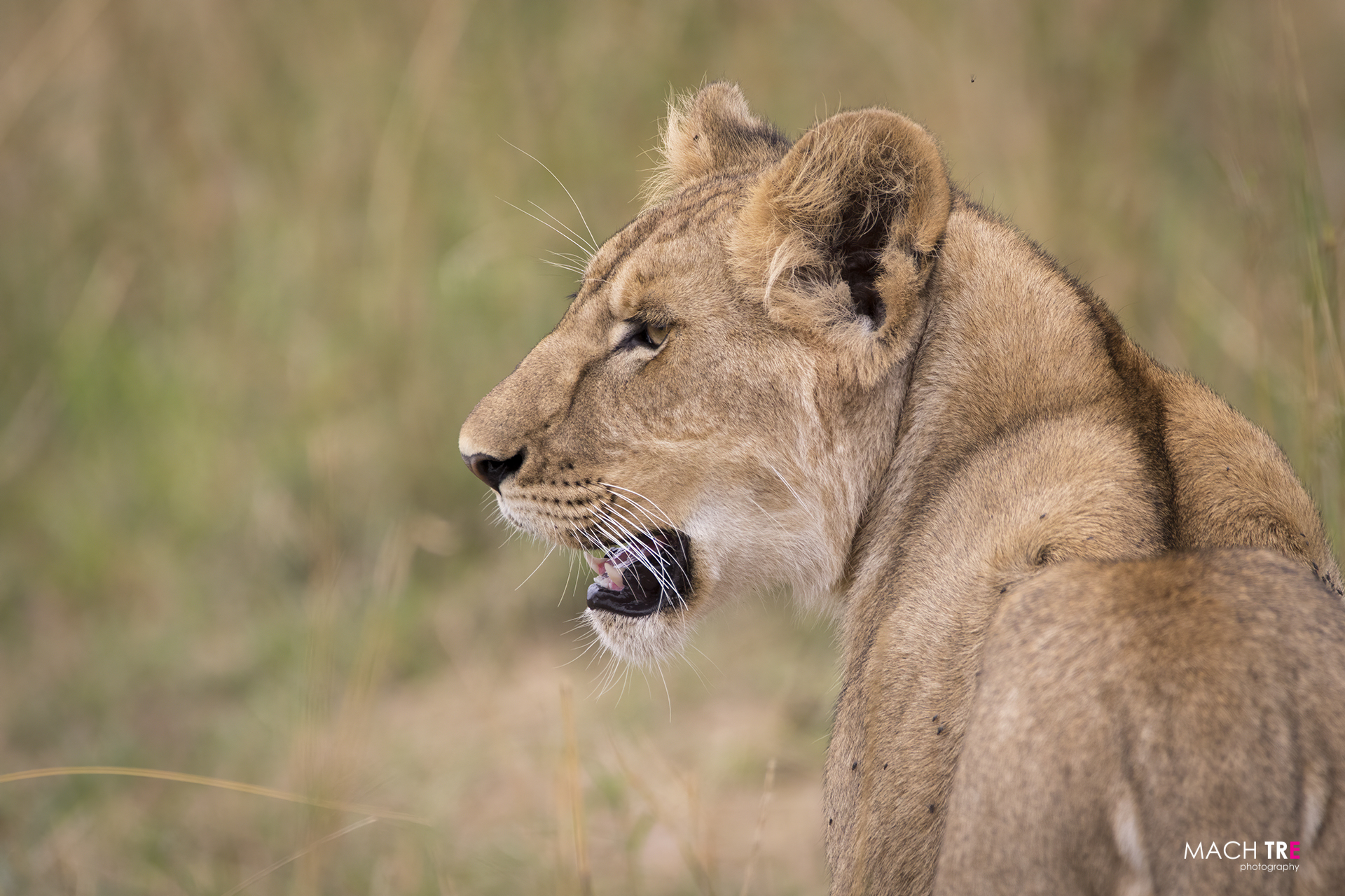 Masai Mara Game Reserve