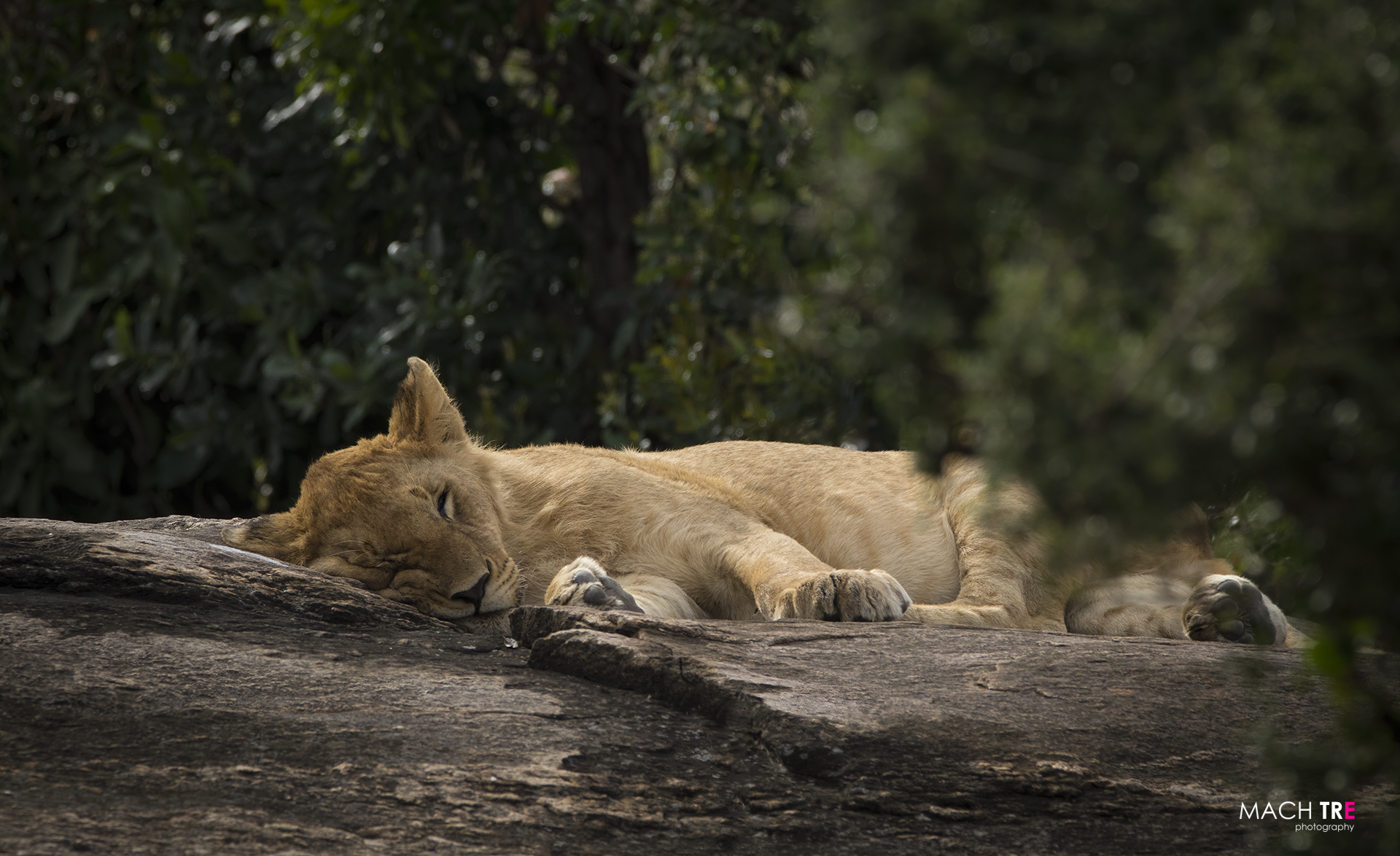Masai Mara Game Reserve