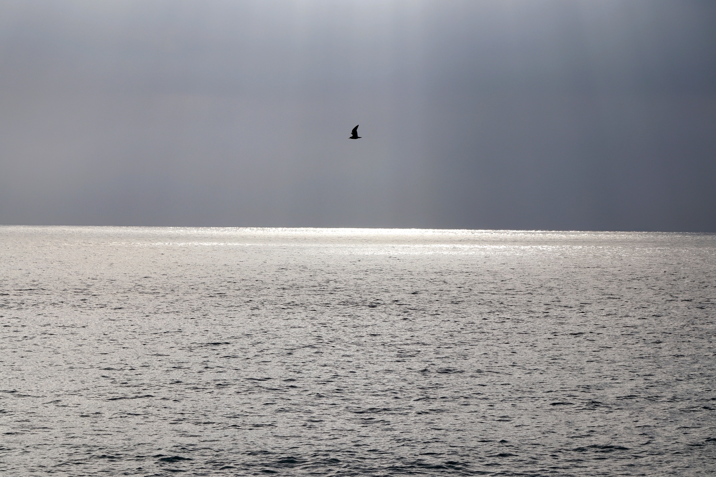 Freedom