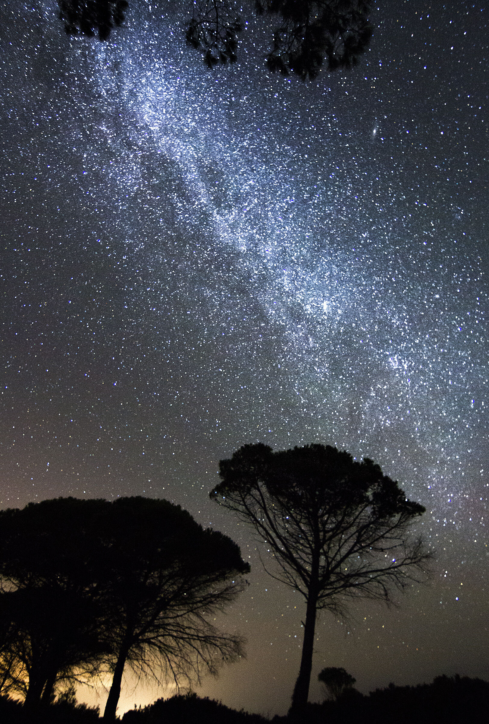Via Lattea - Costa Rei - Sardegna
