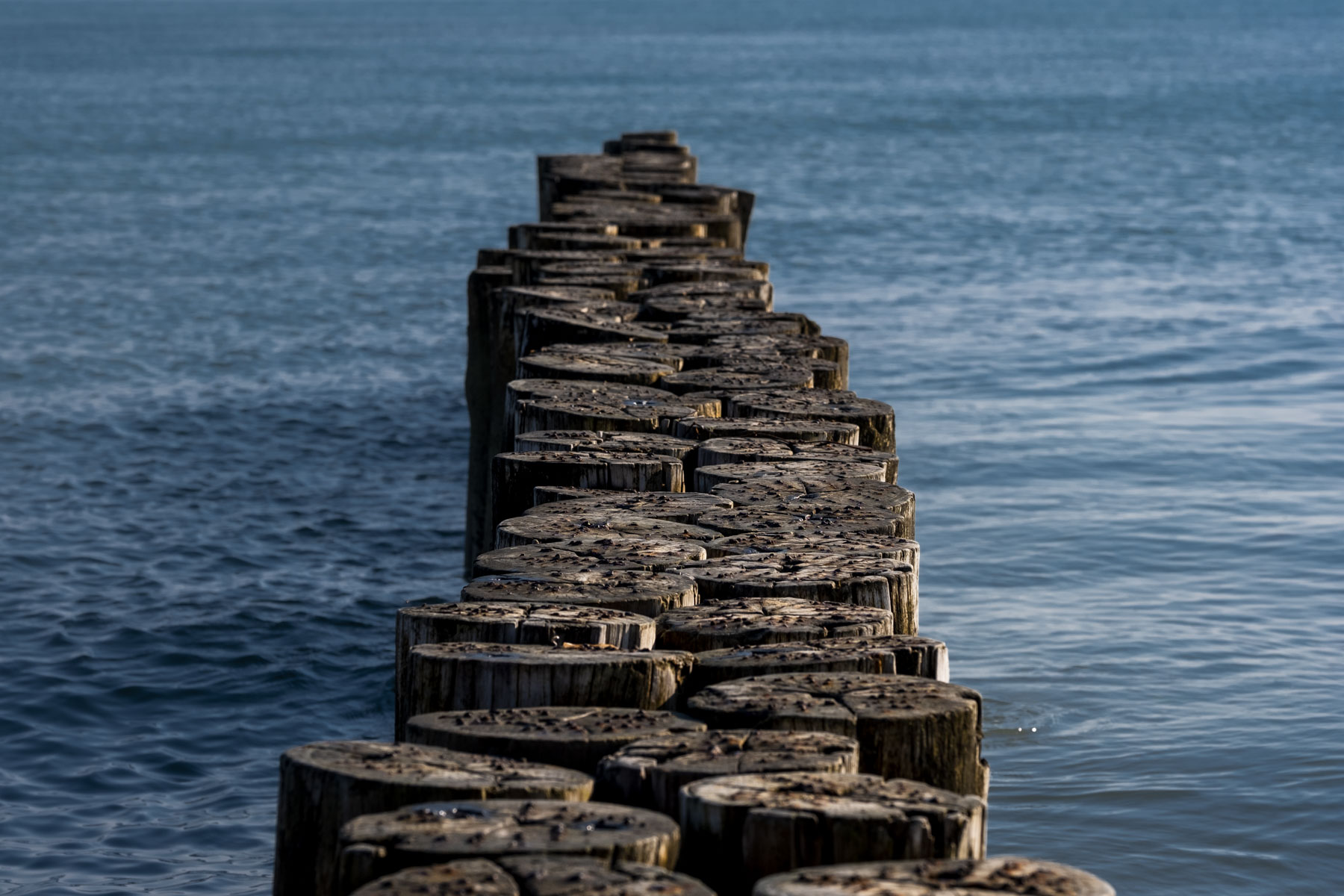 Frangiflutti a Bibione.