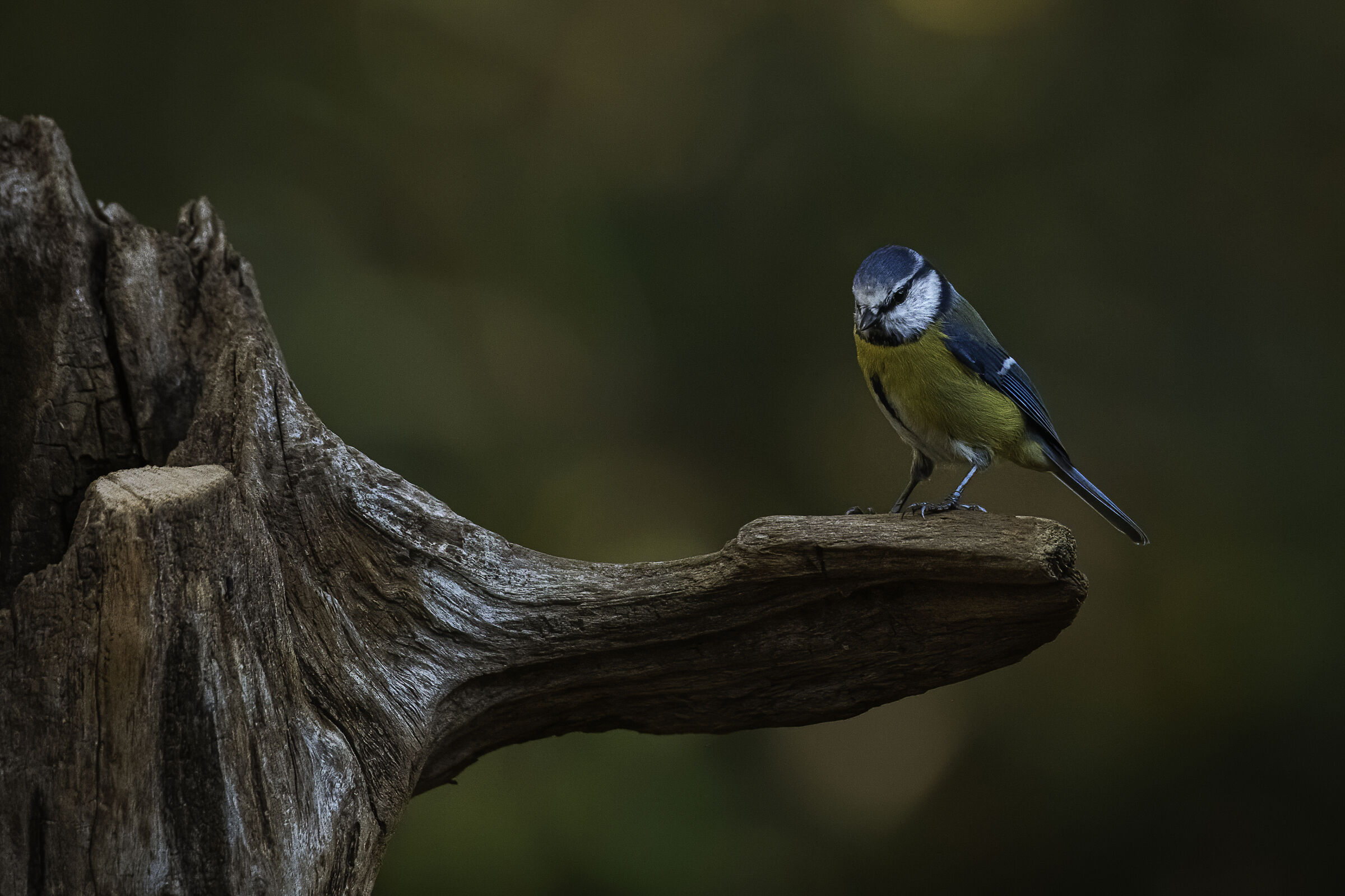 ...quanti pensieri...