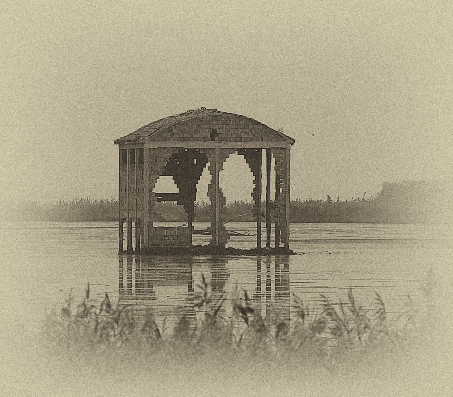 Sacca Degli Scardovari - 13/11/2020