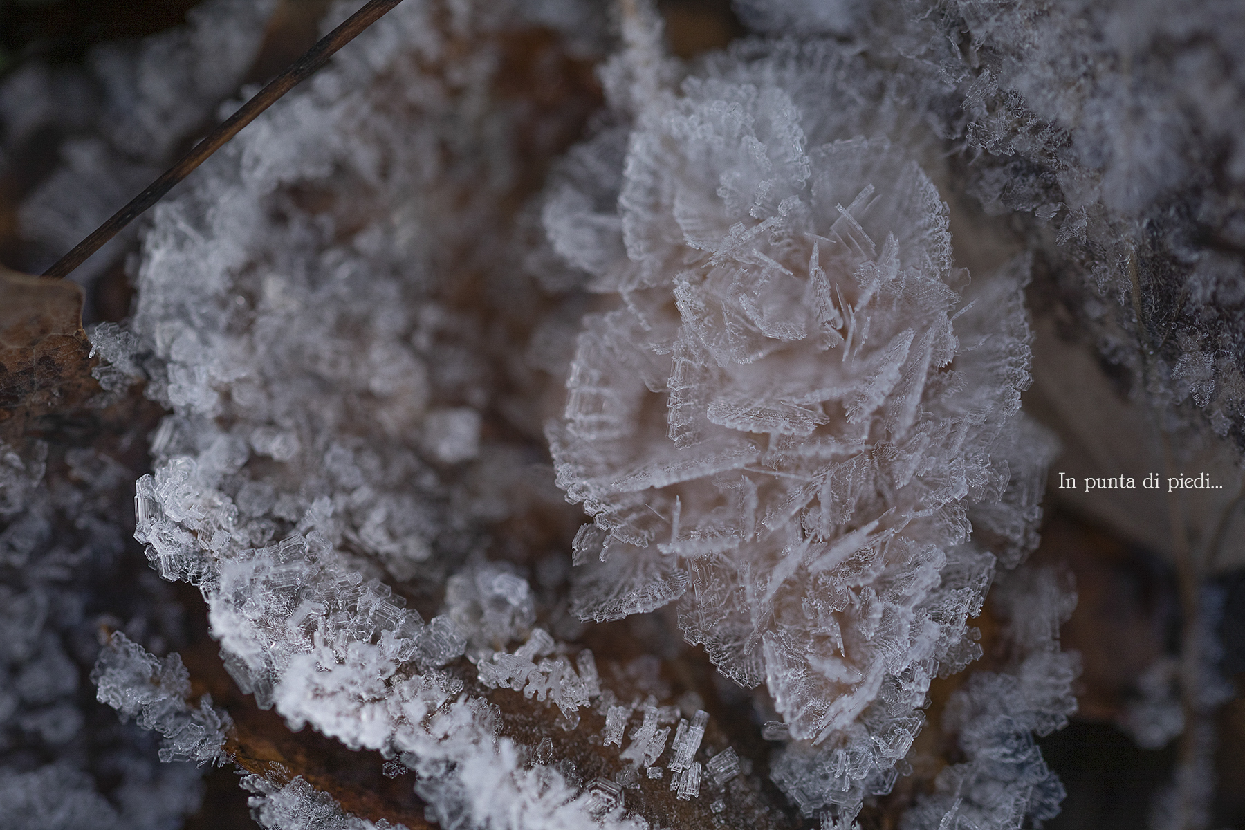 Dentelles de Glace...