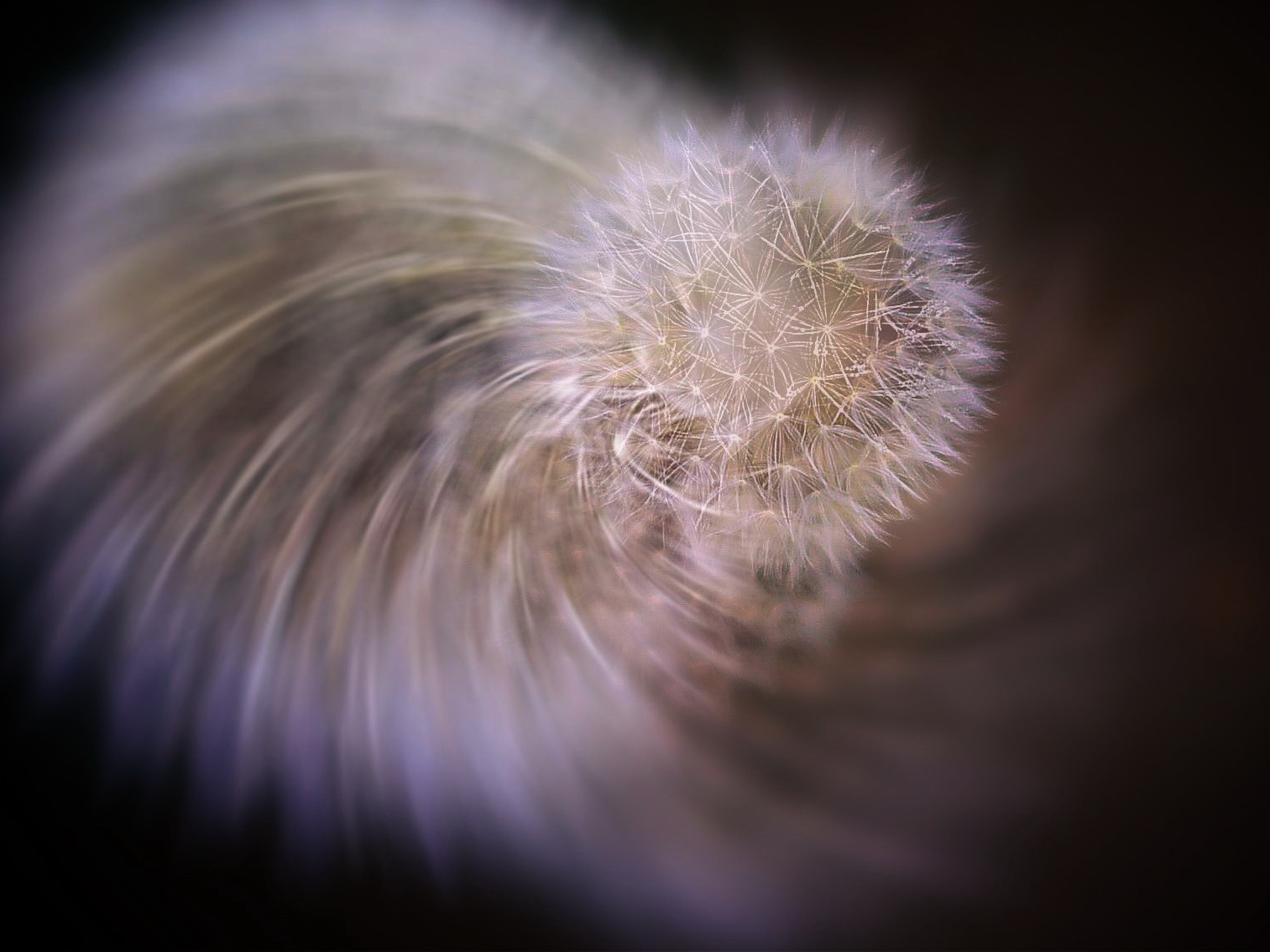 Transfiguration