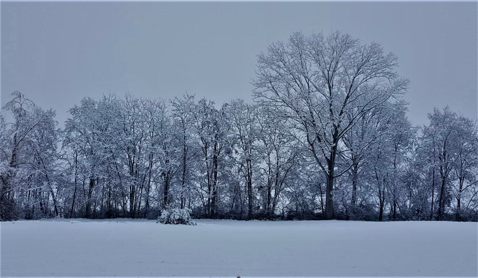 la prima nevicata di dicembre 2020