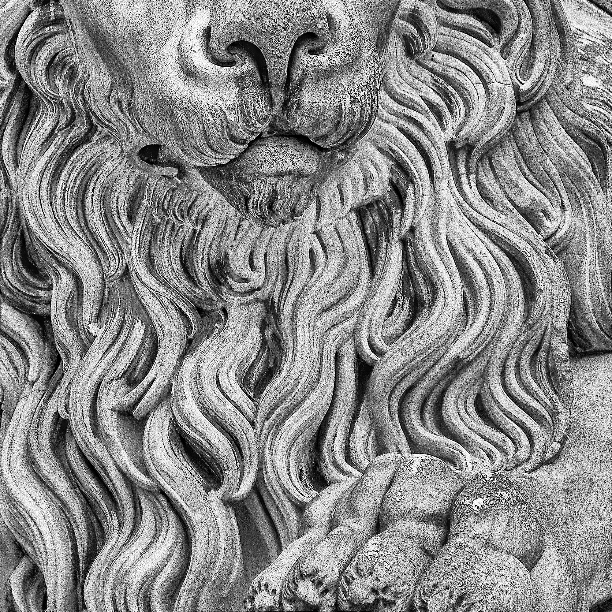 The Lion