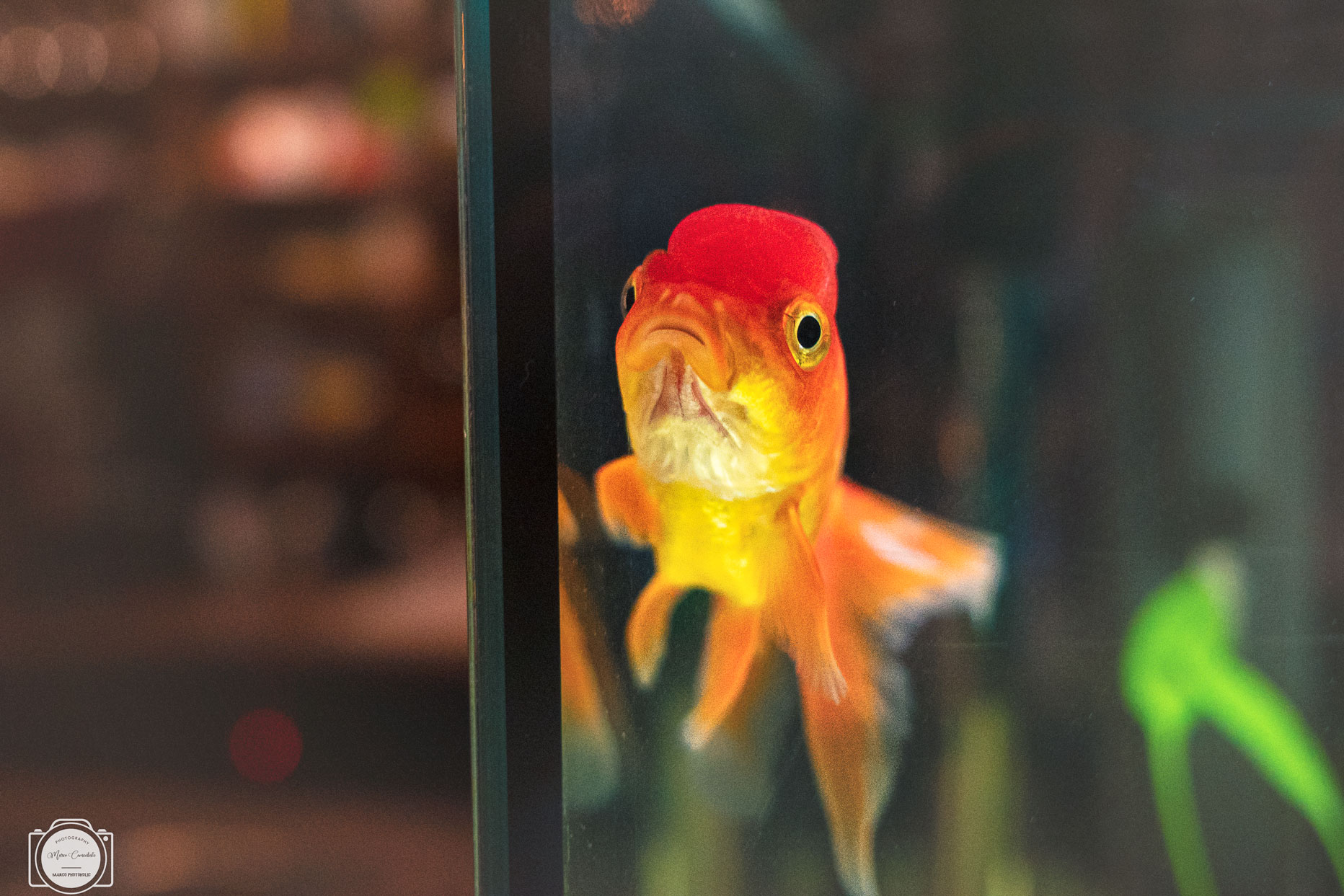 Why are you looking at me?