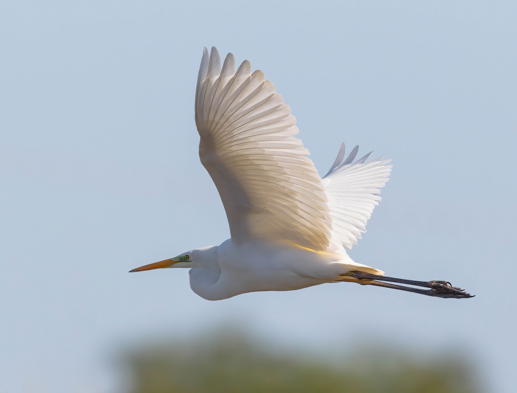 With the sun behind you