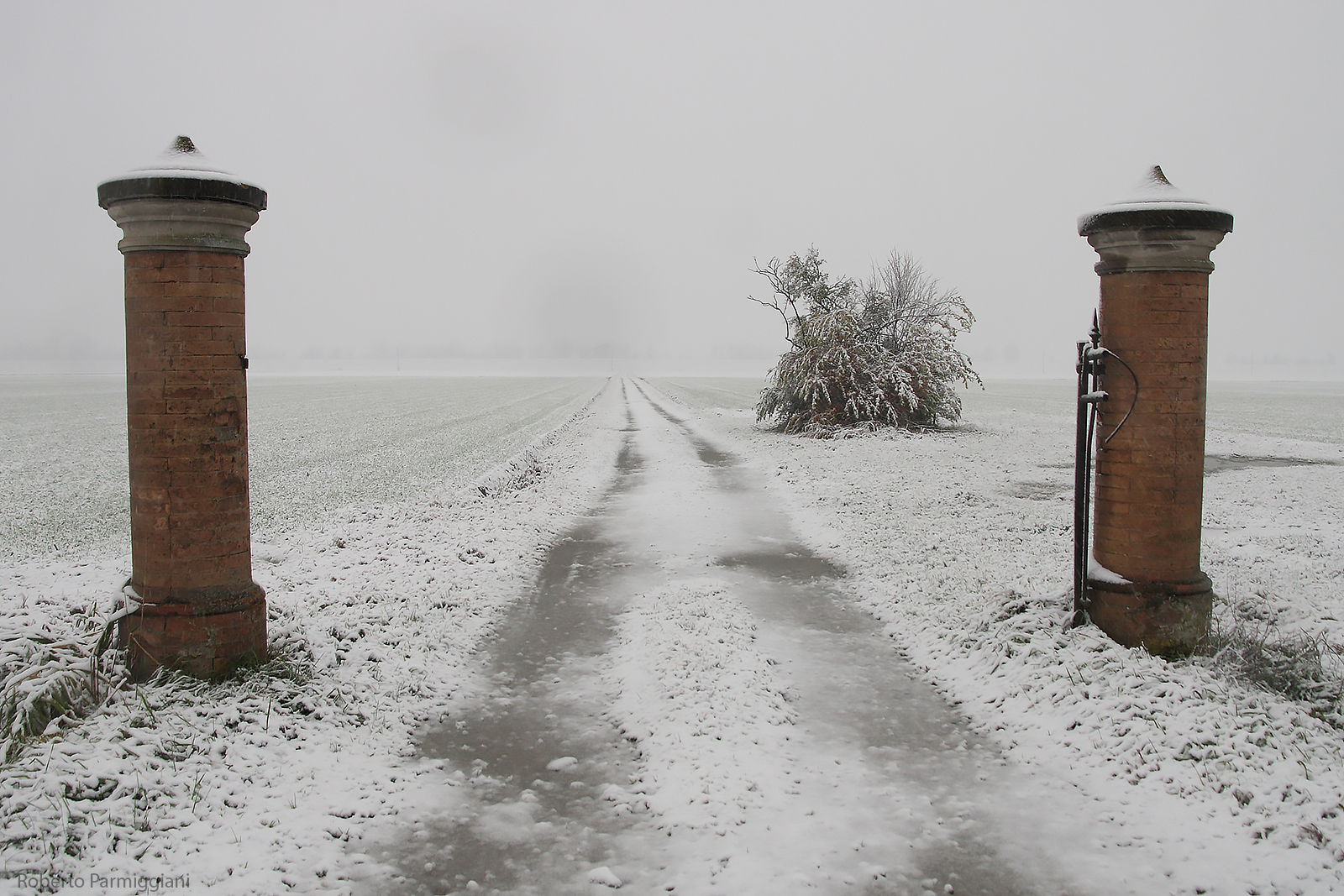 Winter composition