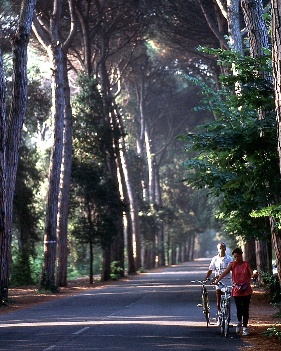 Vintage da diapositiva anni 90 Nikon