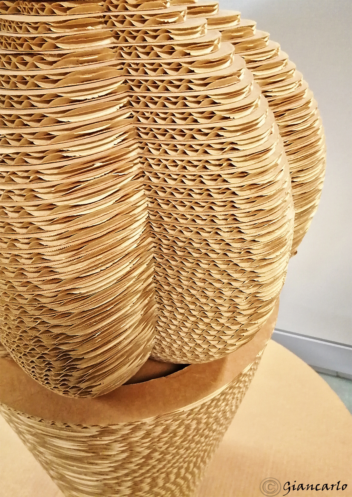 cactus e il cartone ondulato