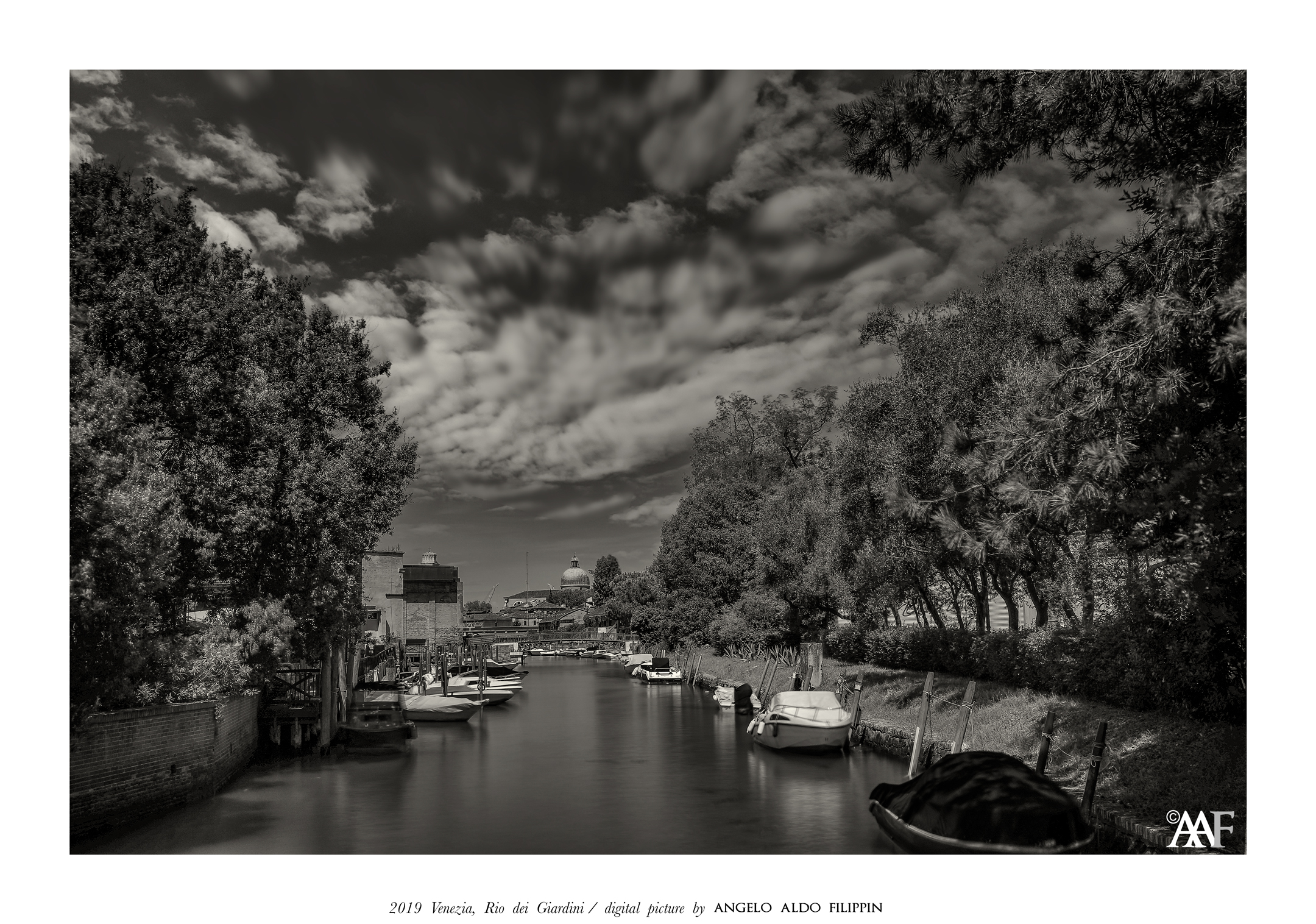 2019 Venezia-Giardini della Biennale