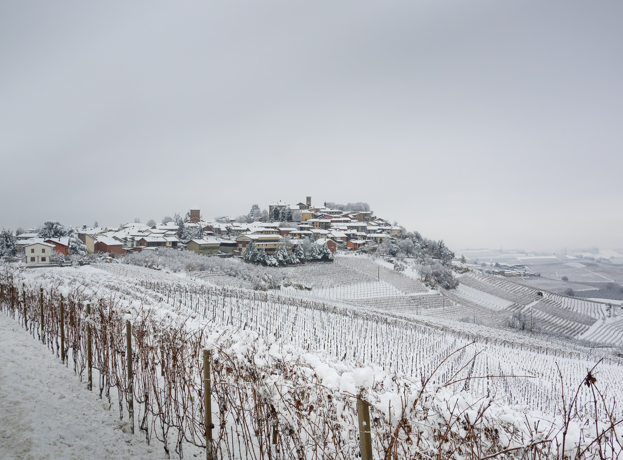 Roddi under the Snow