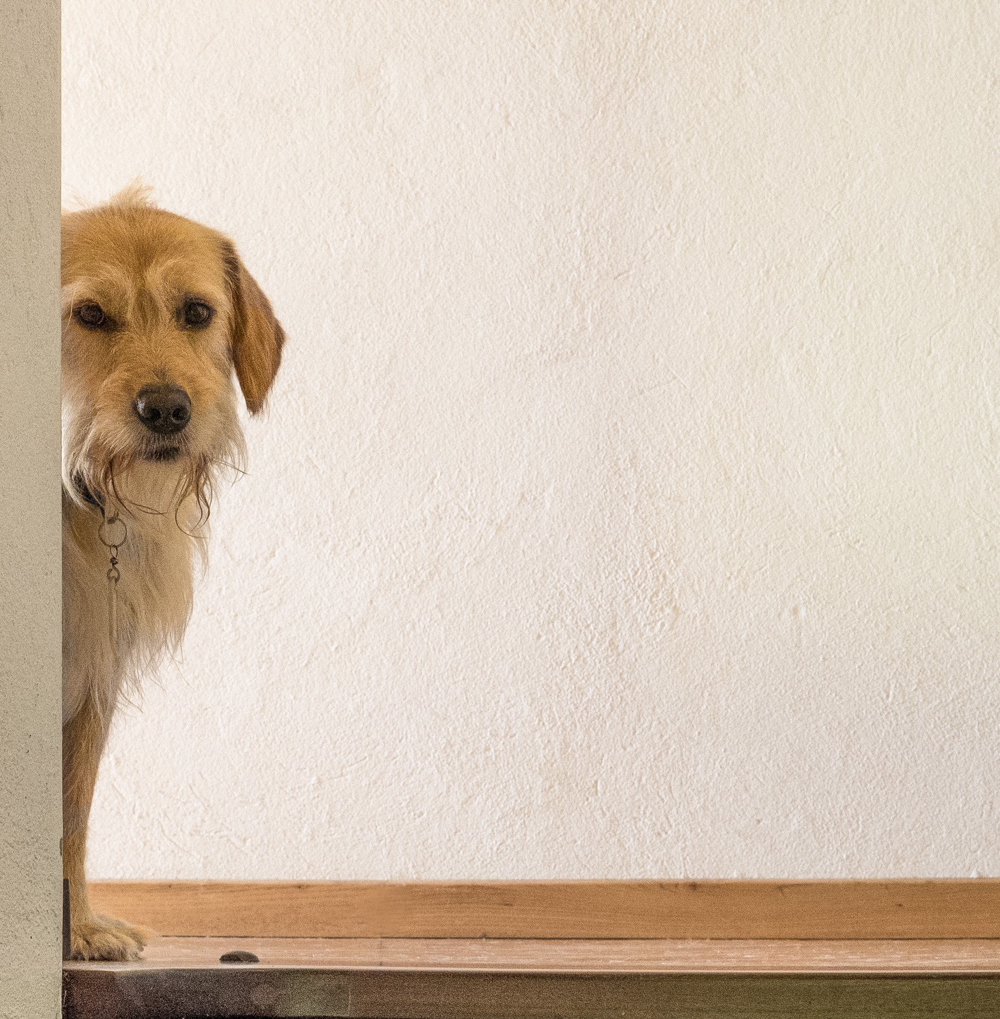 il mio rimedio al lockdown