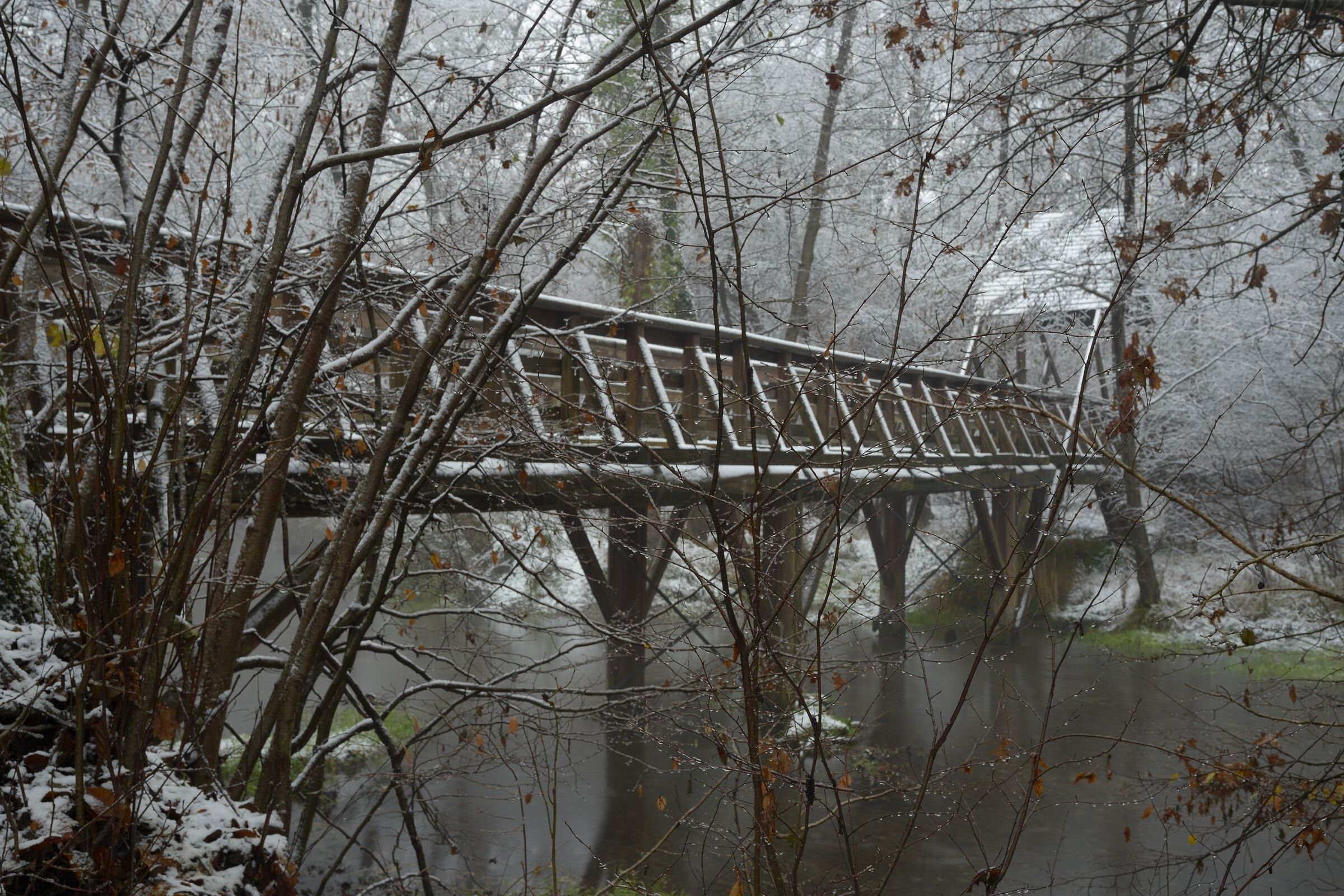 Ticino, il Ramo Delizia