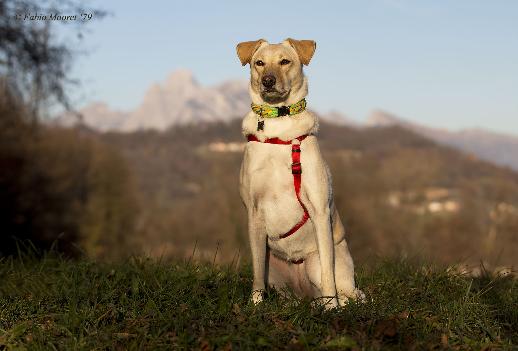 Maya Sull' Attenti.....