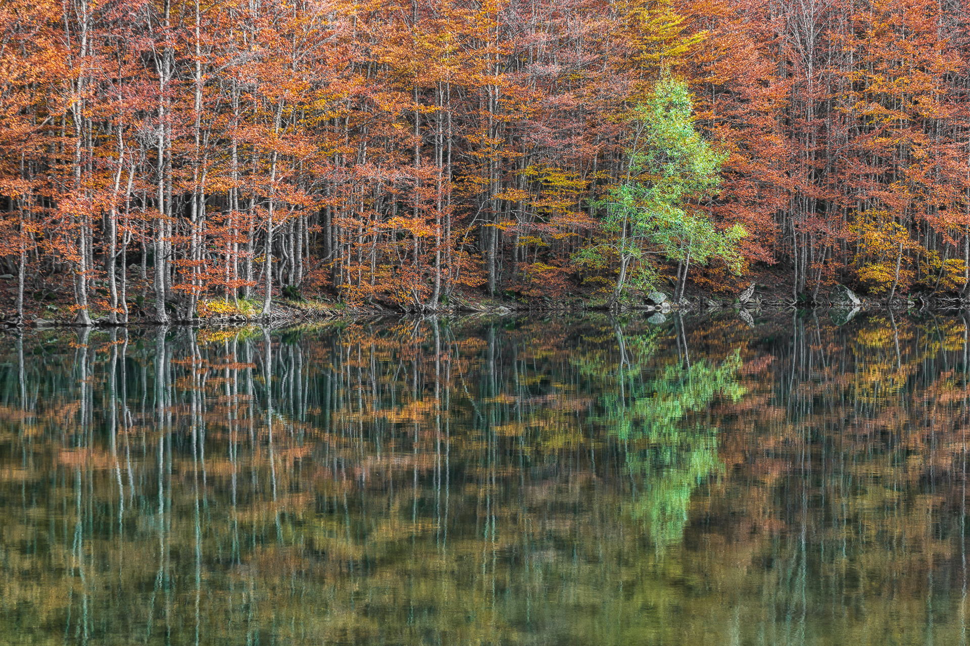 lake baccio, modena