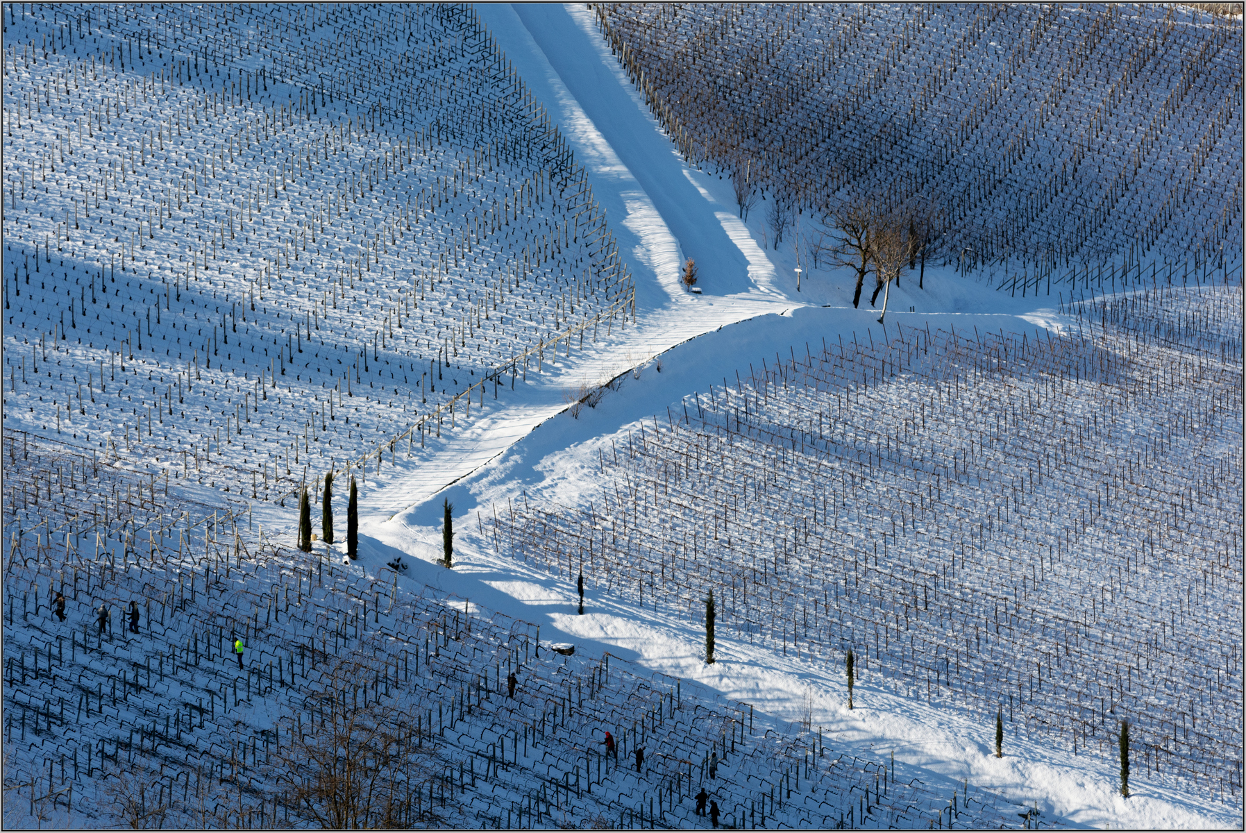 langhe innevate