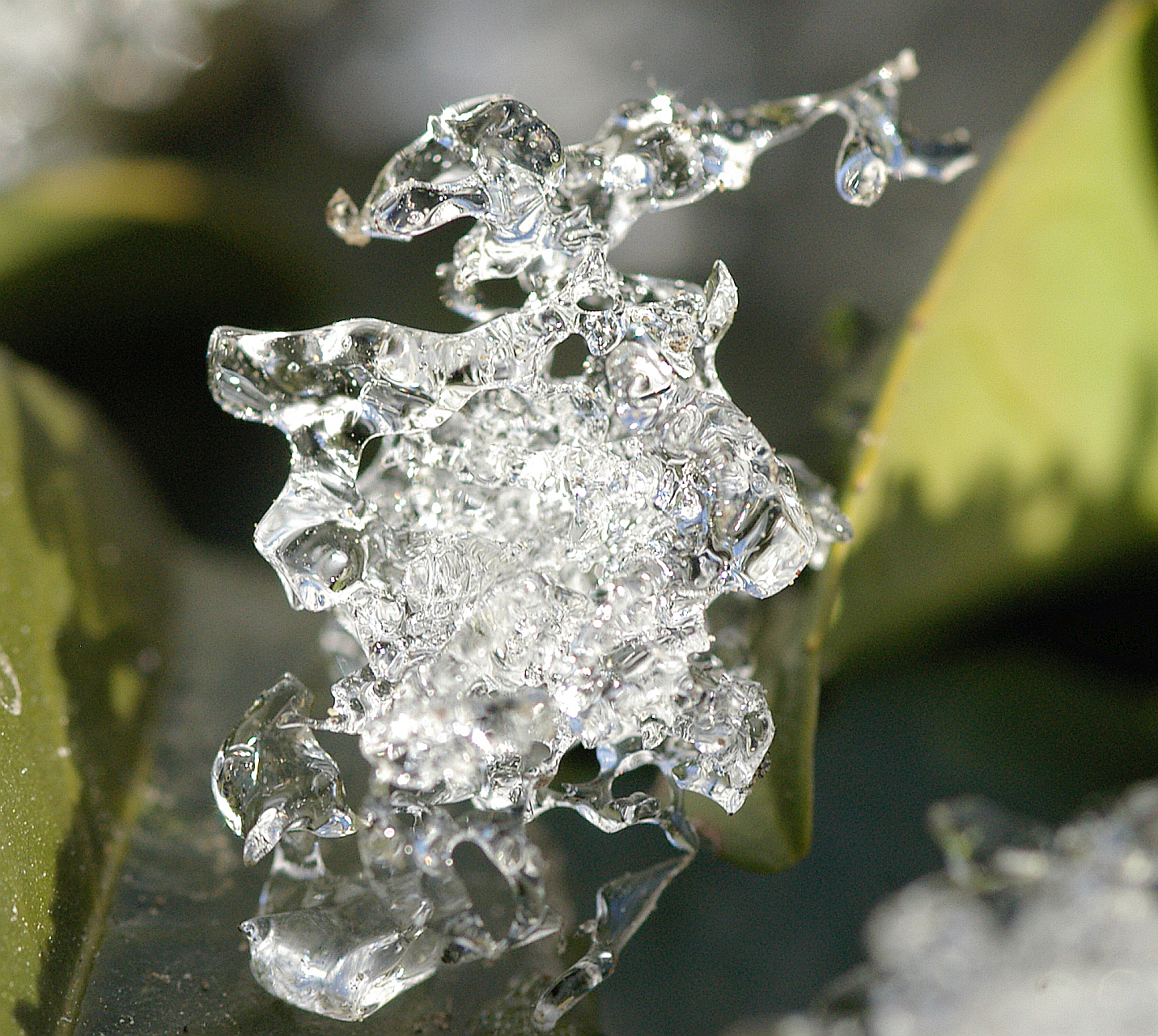 scultura..di ghiaccio